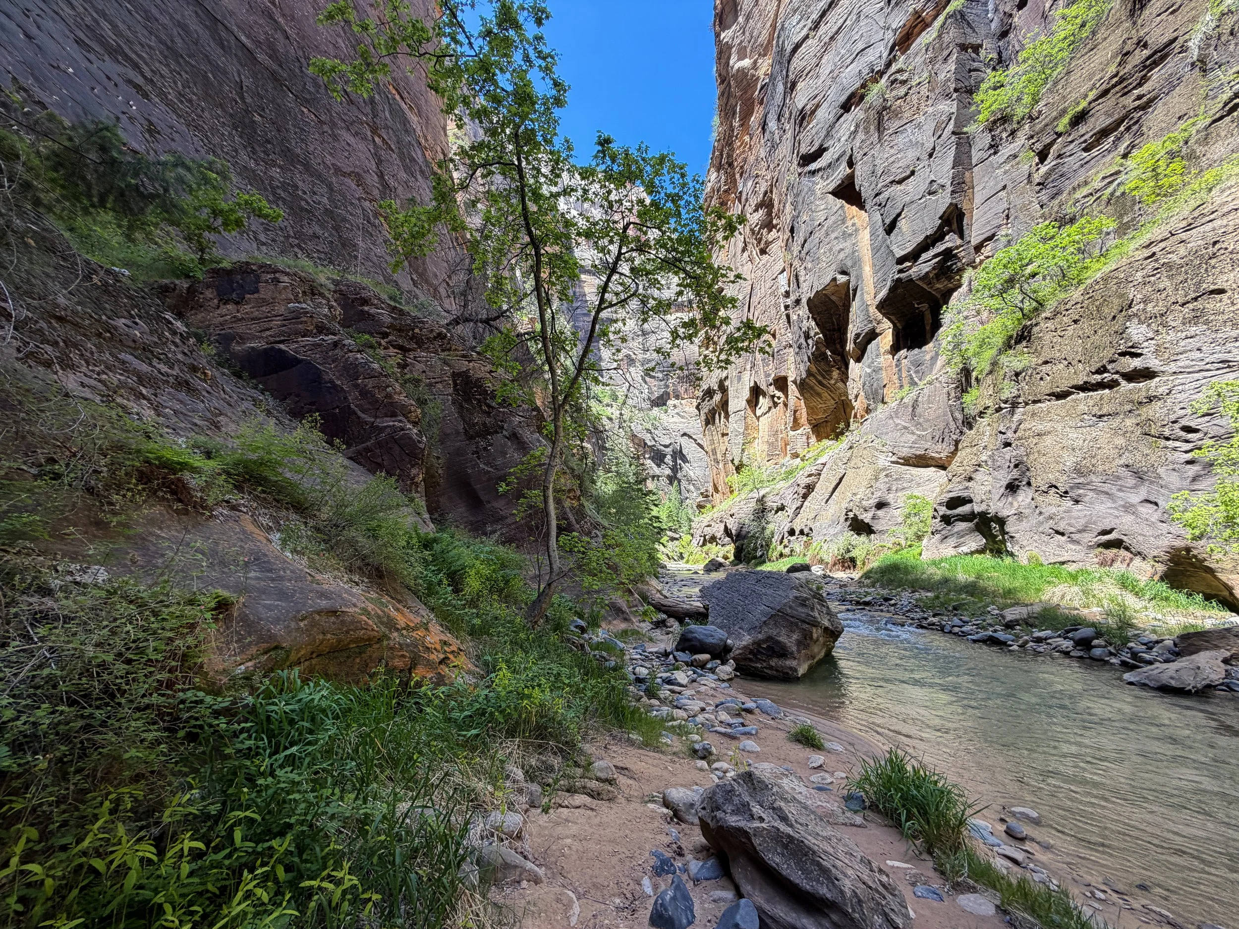 The Narrows Hike Zion National Park Utah