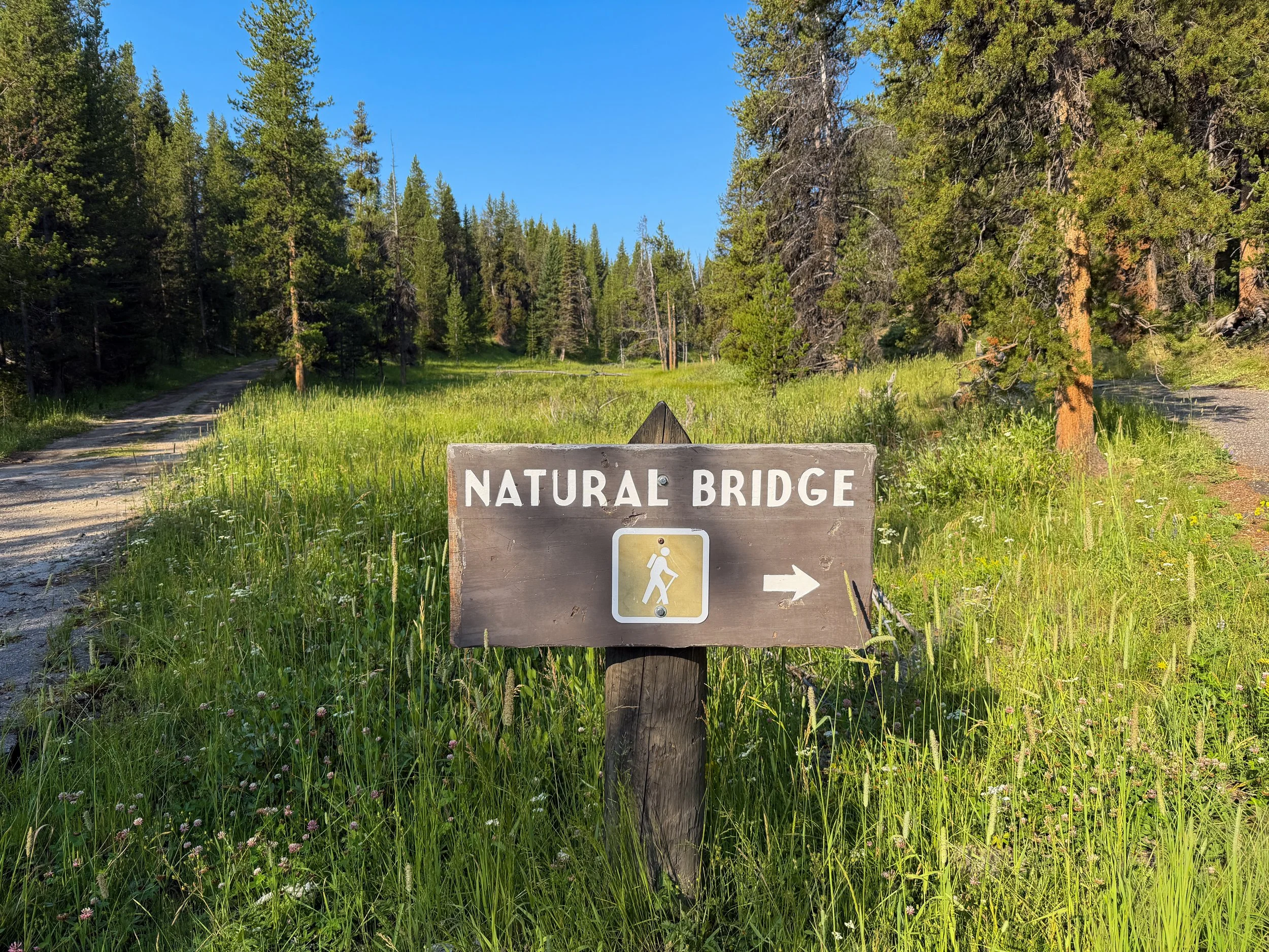 Natural Bridge Hike Yellowstone National Park Wyoming