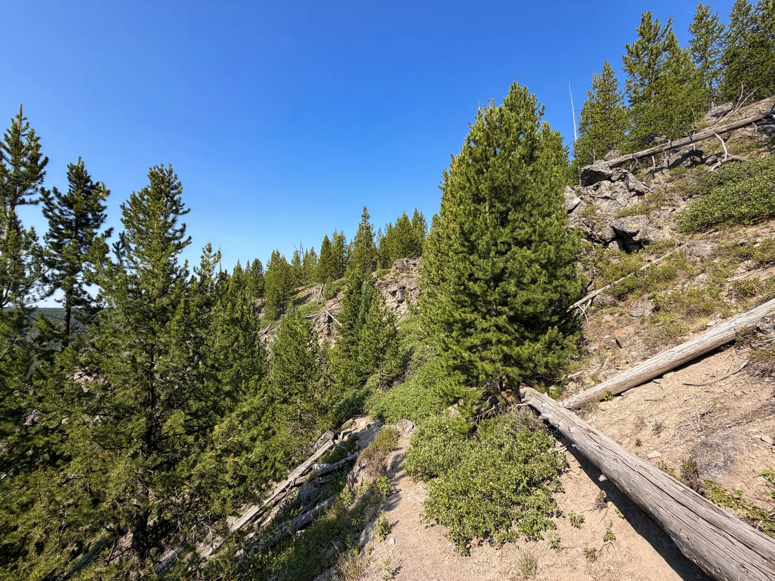 Mystic Falls Loop Trail Yellowstone National Park Wyoming