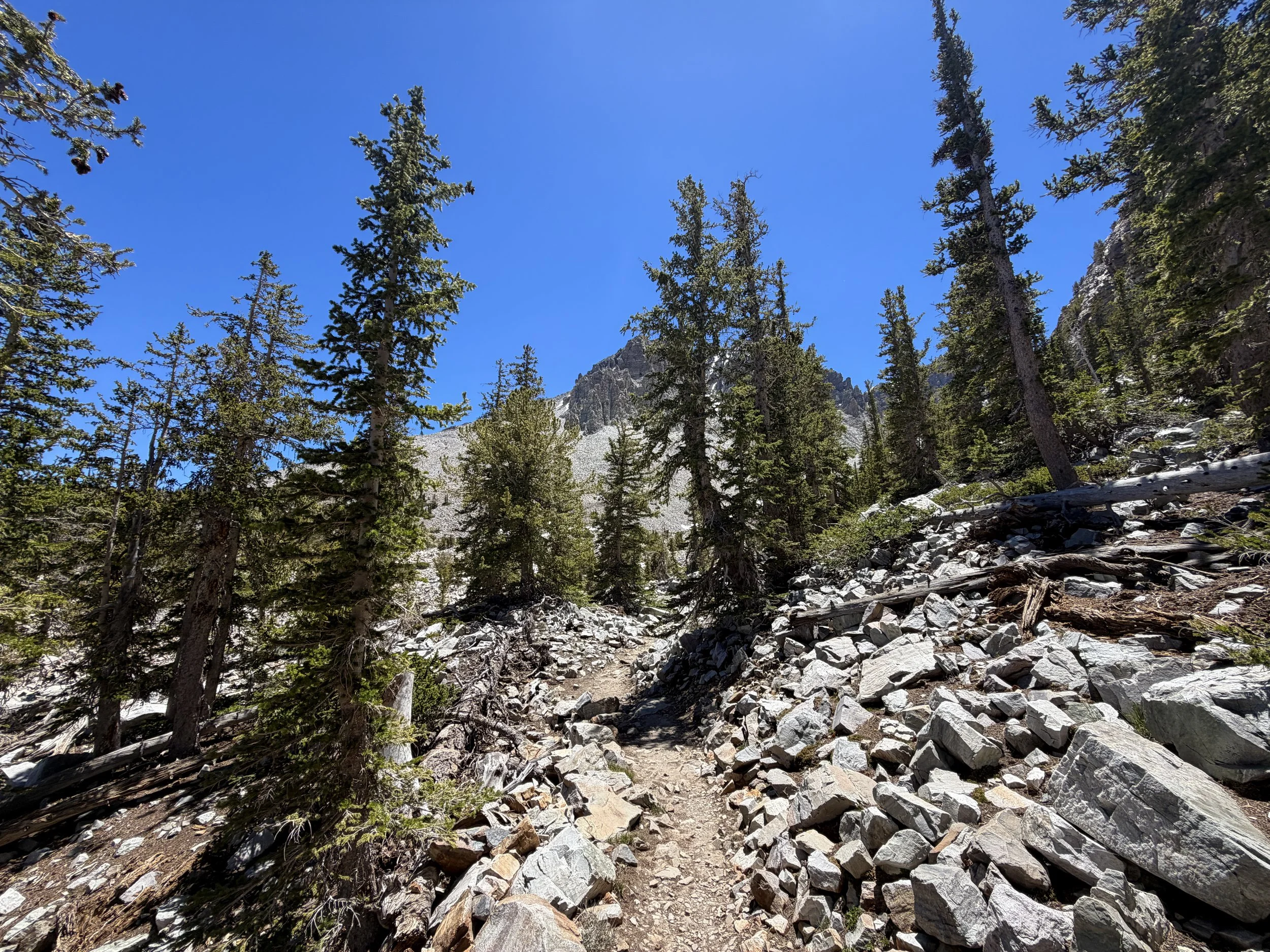 Glacier Trail Great Basin National Park Nevada