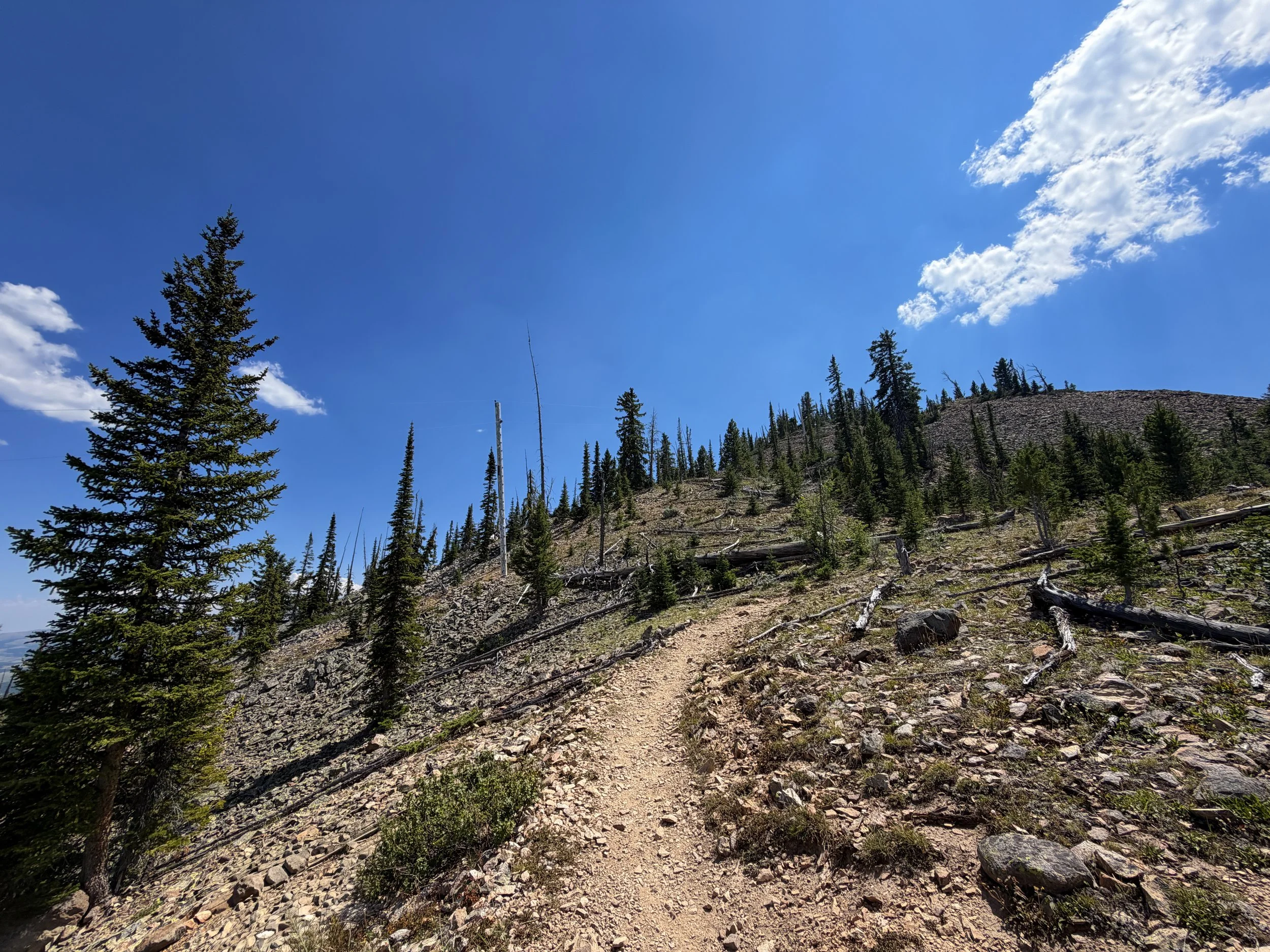 Bunsen Peak Trail Yellowstone National Park Wyoming