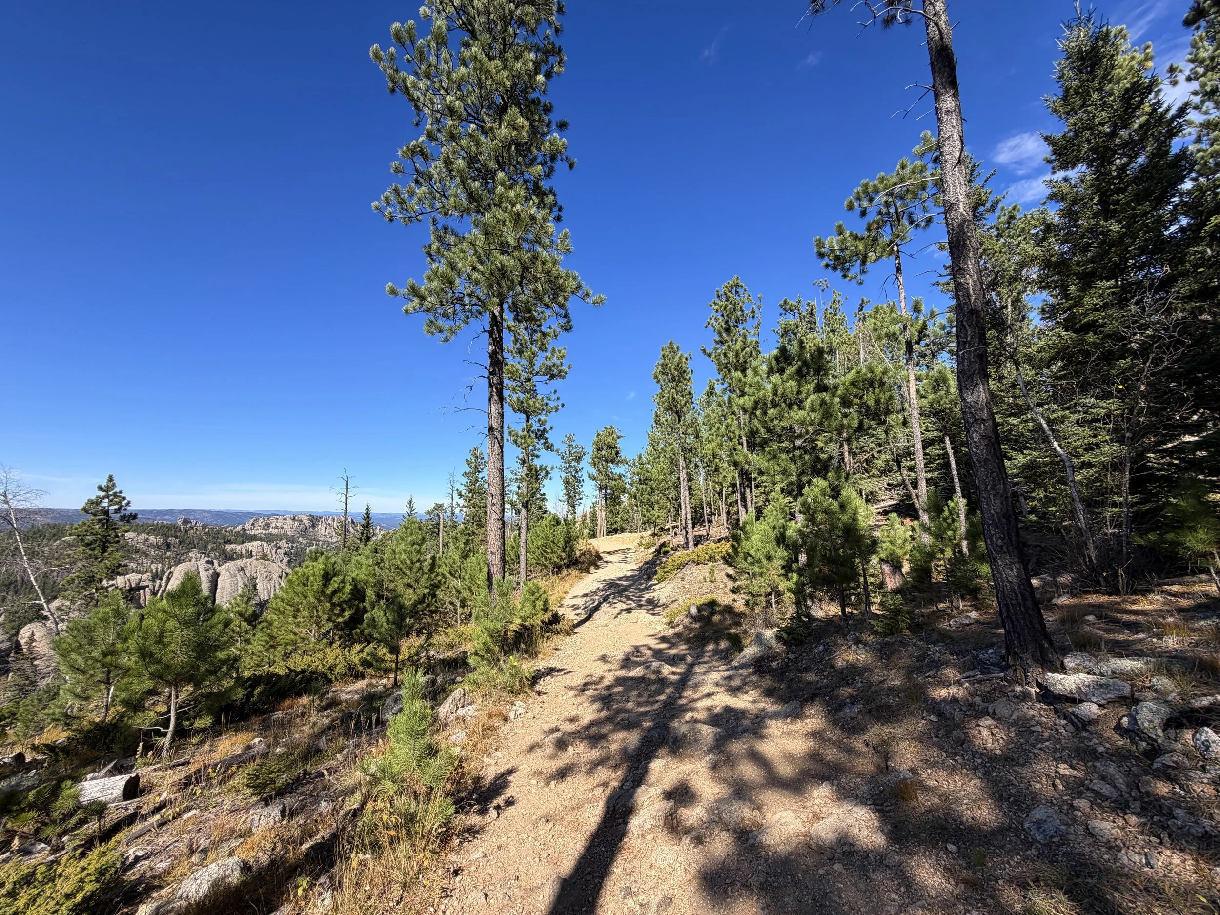 Black Elk Peak Hike Custer State Park Black Hills South Dakota
