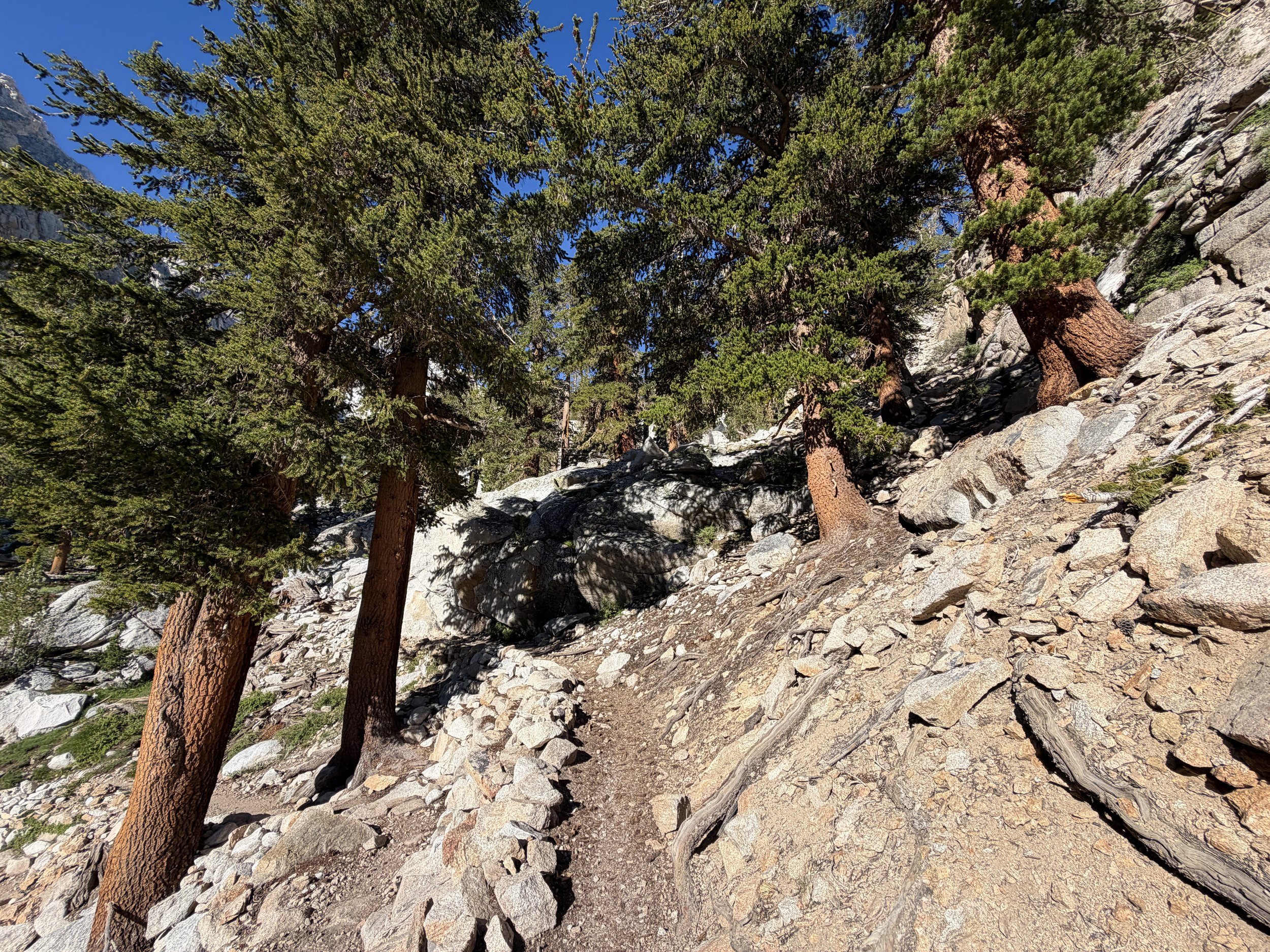 Mt. Whitney Trail California