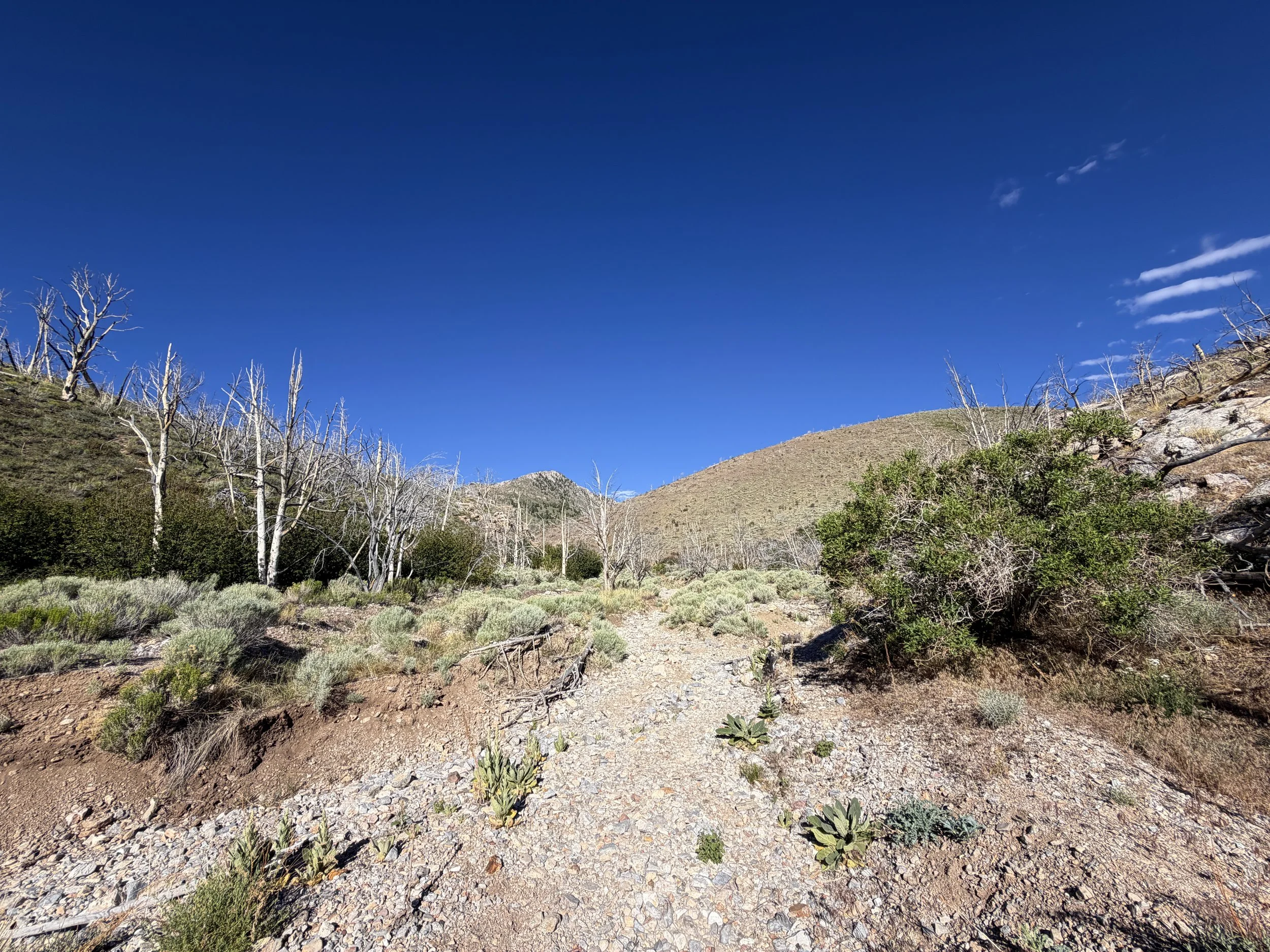 Lexington Arch Trail Great Basin National Park Nevada