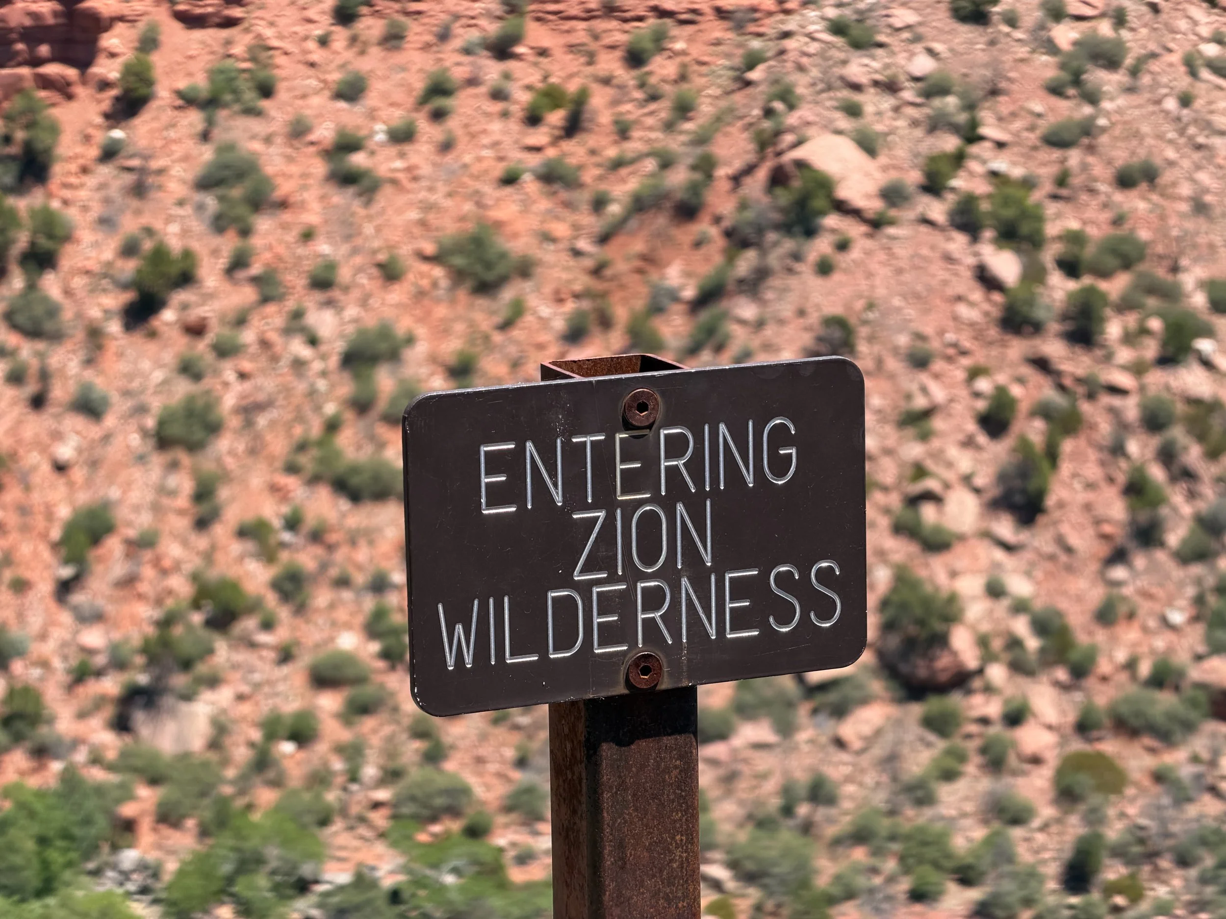 Grapevine Trail Zion National Park Utah