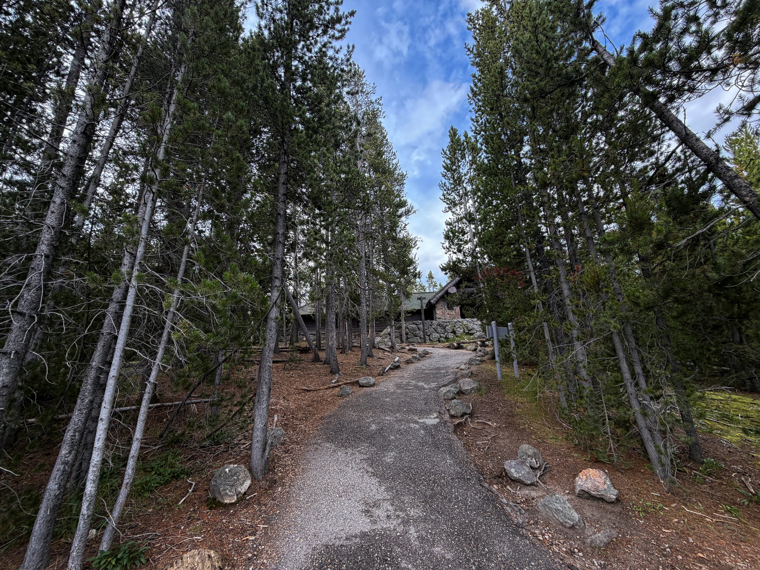 Norris Geyser Basin Trail Yellowstone National Park Wyoming