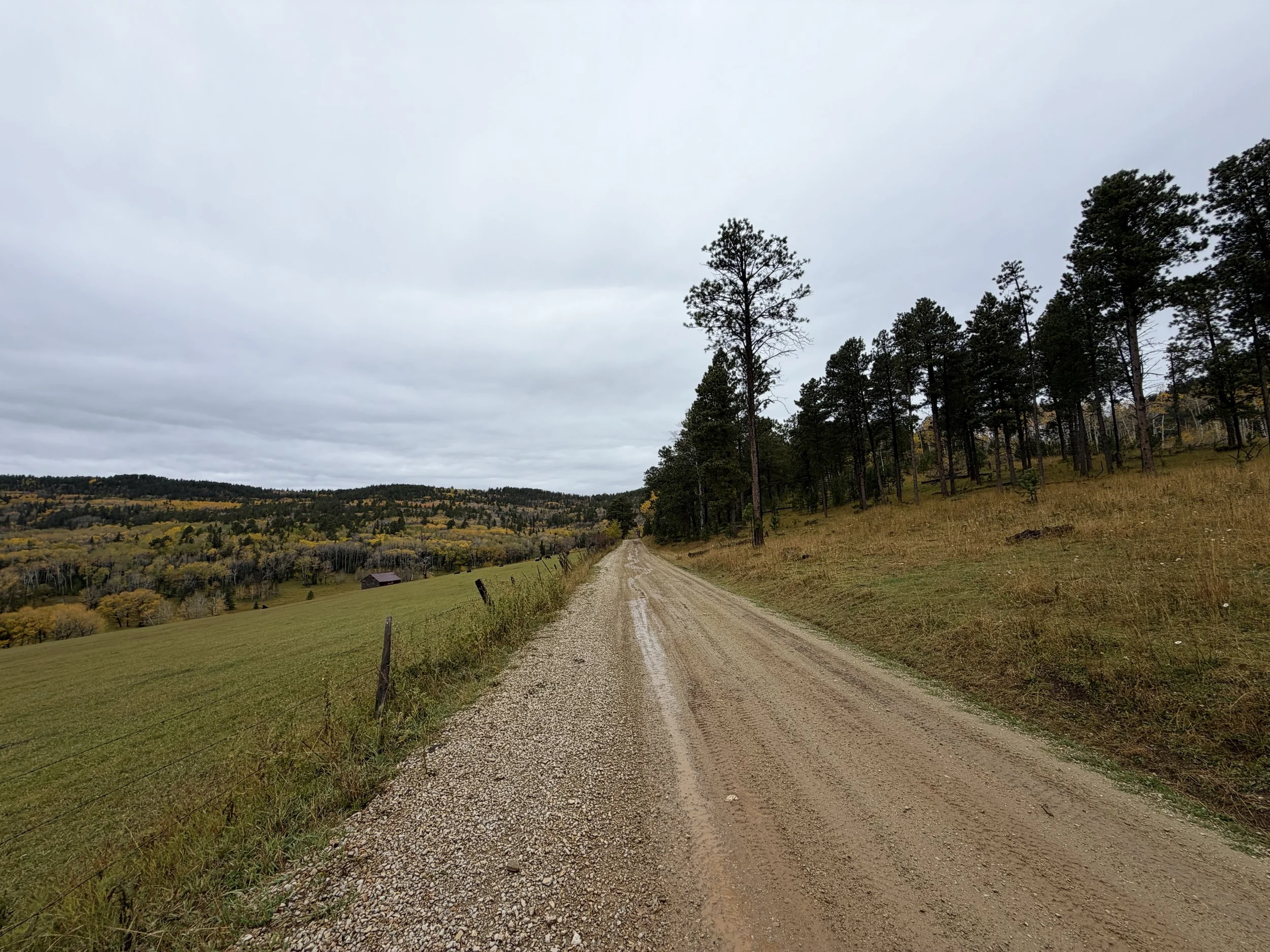 Custer Peak Trail Black Hills South Dakota