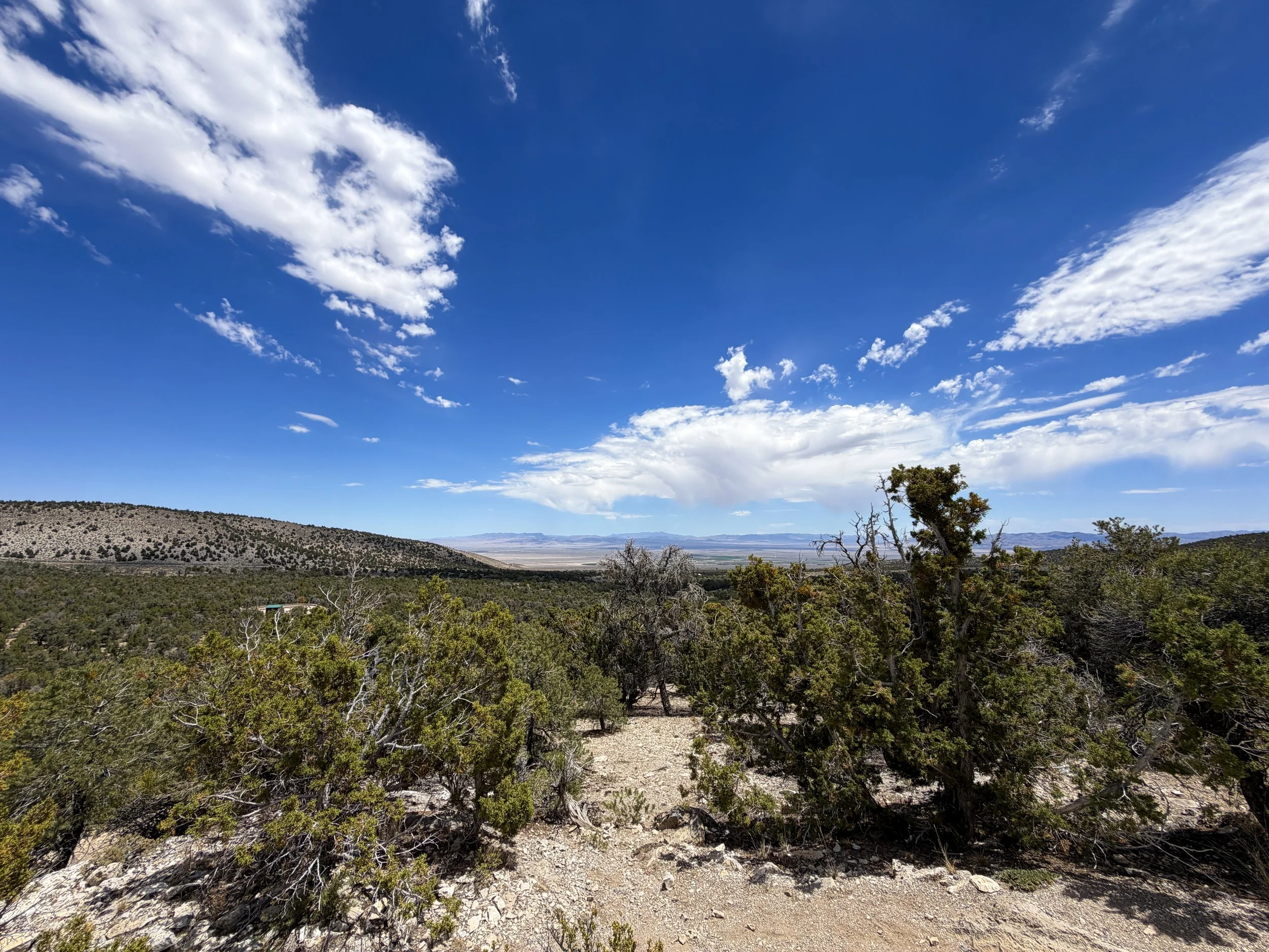 Mountain View Nature Hike Great Basin National Park Nevada