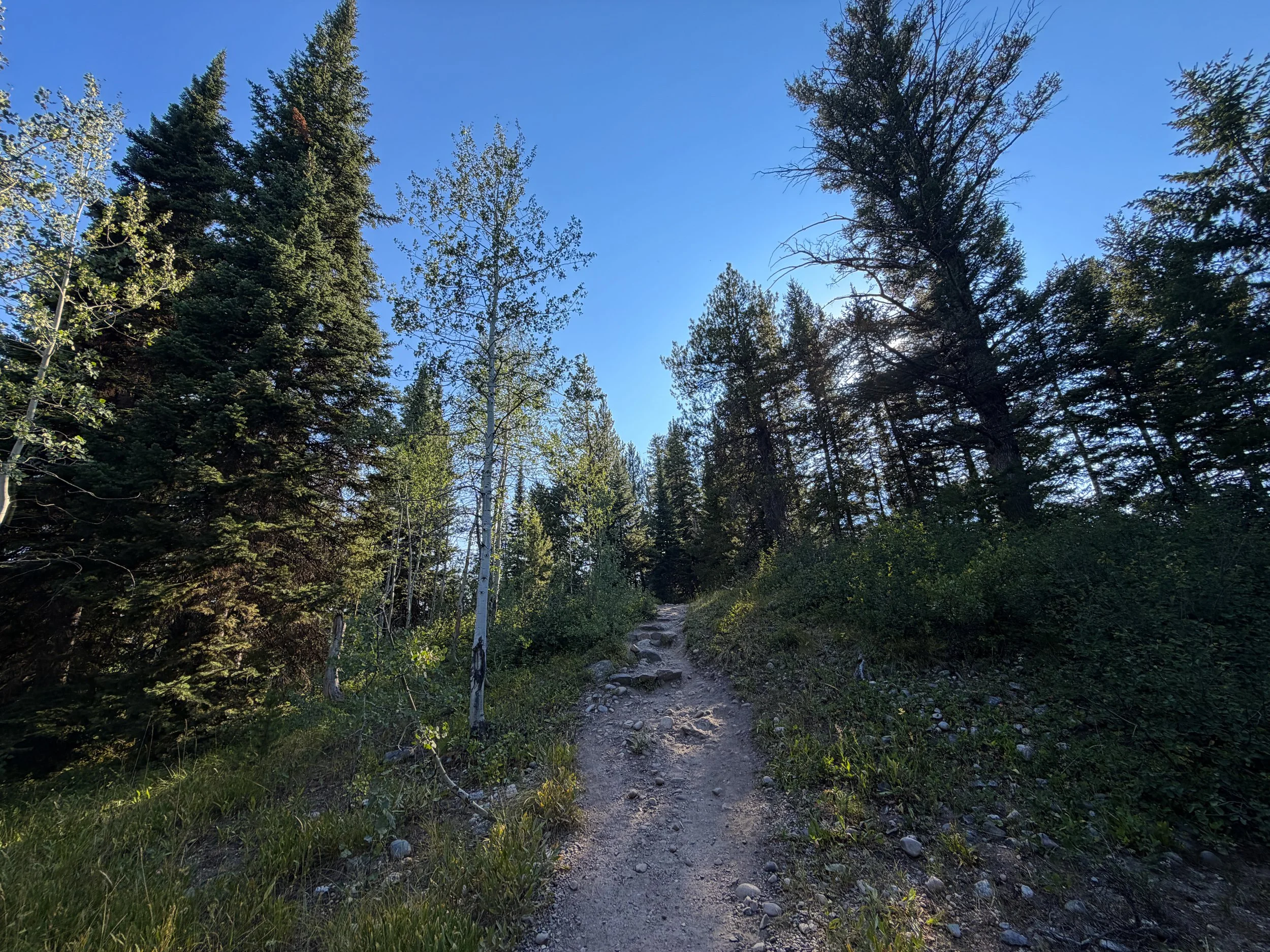 Jenny Lake Loop Trail Grand Teton National Park Wyoming