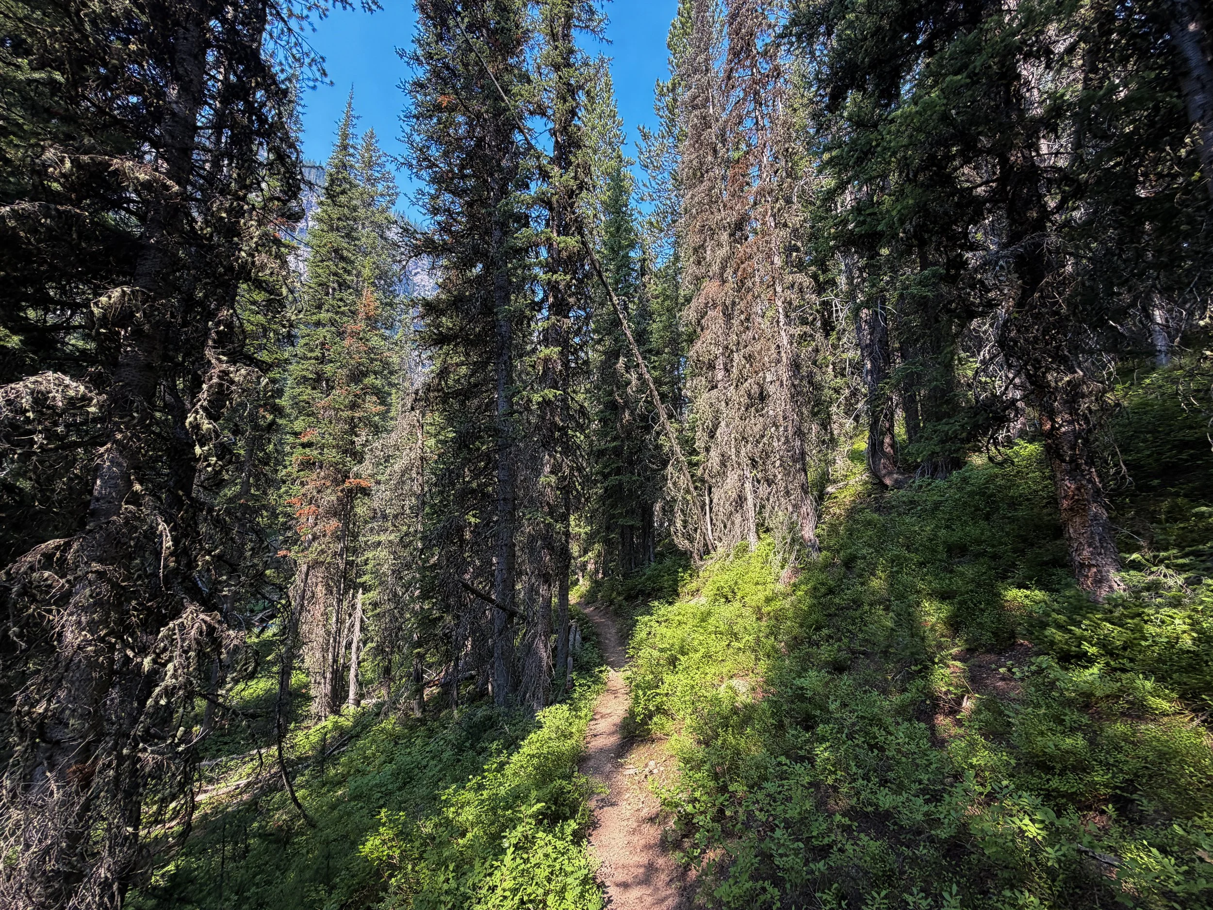 East Rosebud Trail The Beaten Path Beartooth Mountains Montana