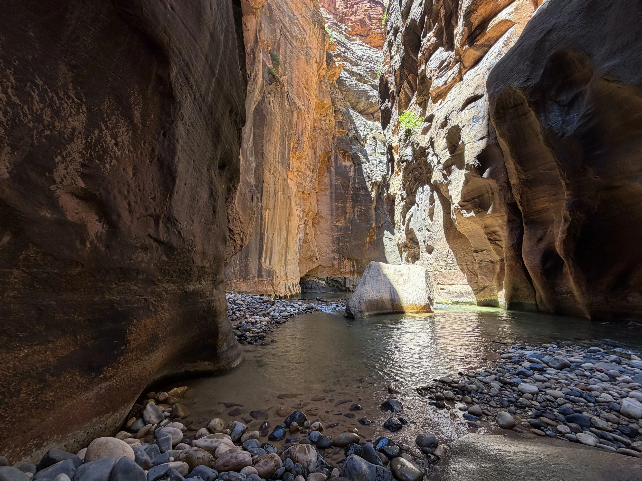 Floating Rock Narrows Zion National Park Utah