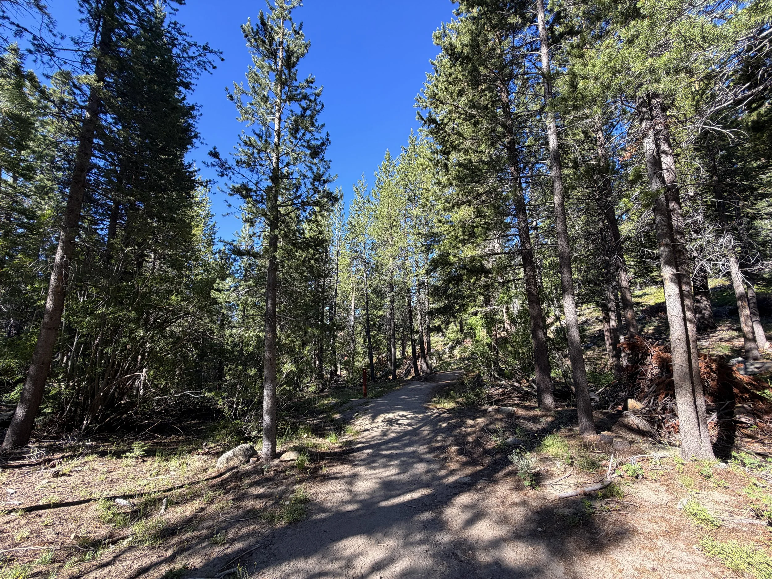 Castle Rock Trail Lake Tahoe Nevada