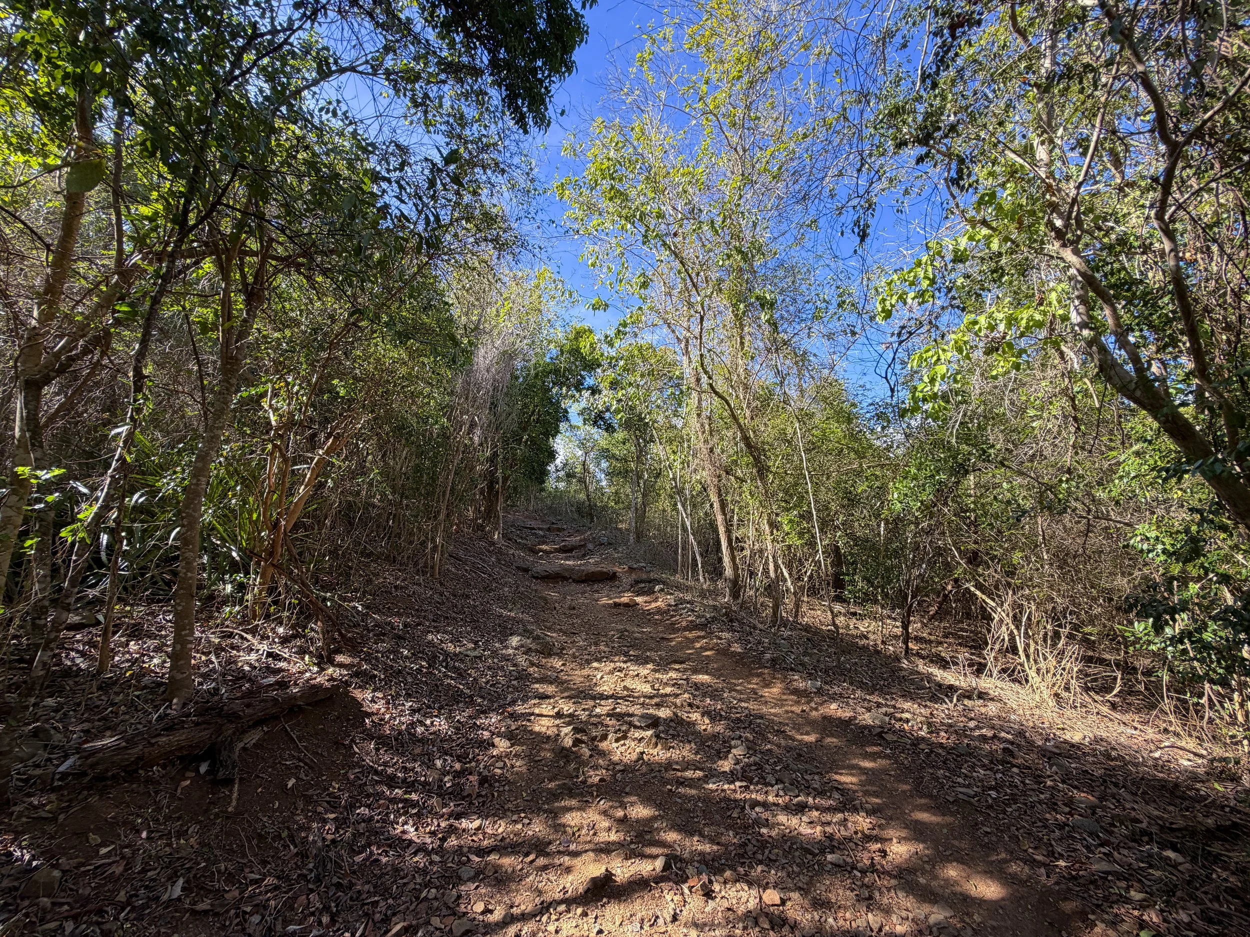Peace Hill Trail Virgin Islands National Park