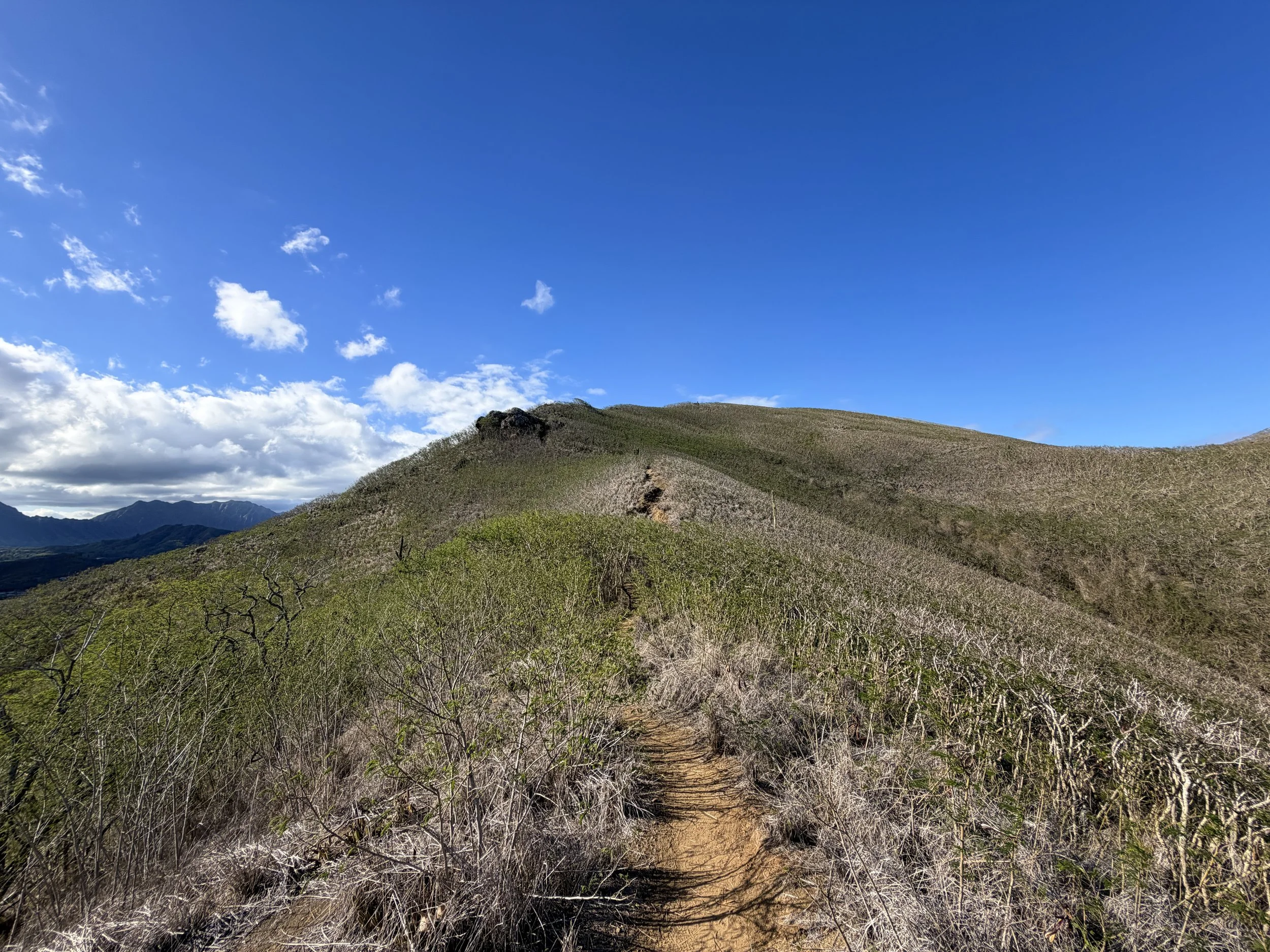 Back Way Lanikai Pillbox Trail Oahu Hawaii