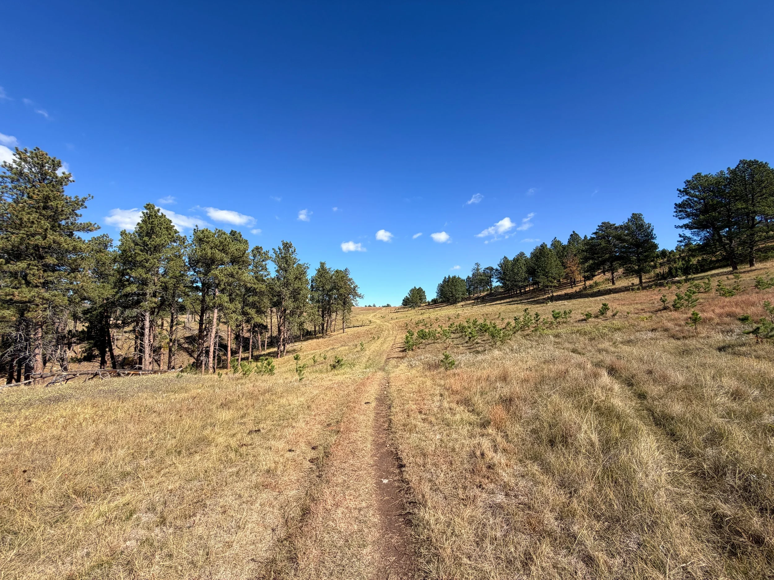 Lookout Point Trail Wind Cave National Park South Dakota