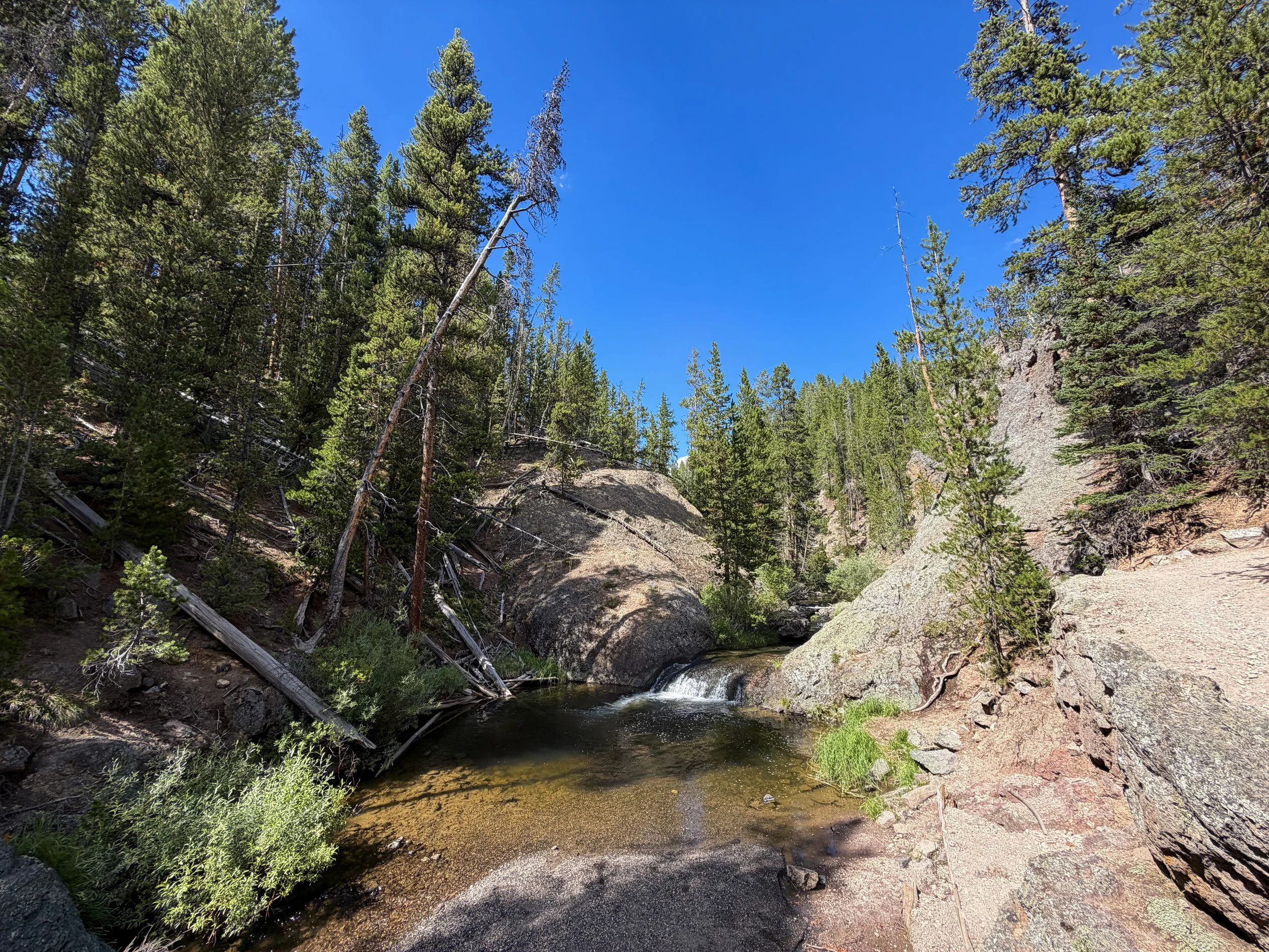 North Rim Trail Yellowstone National Park Wyoming