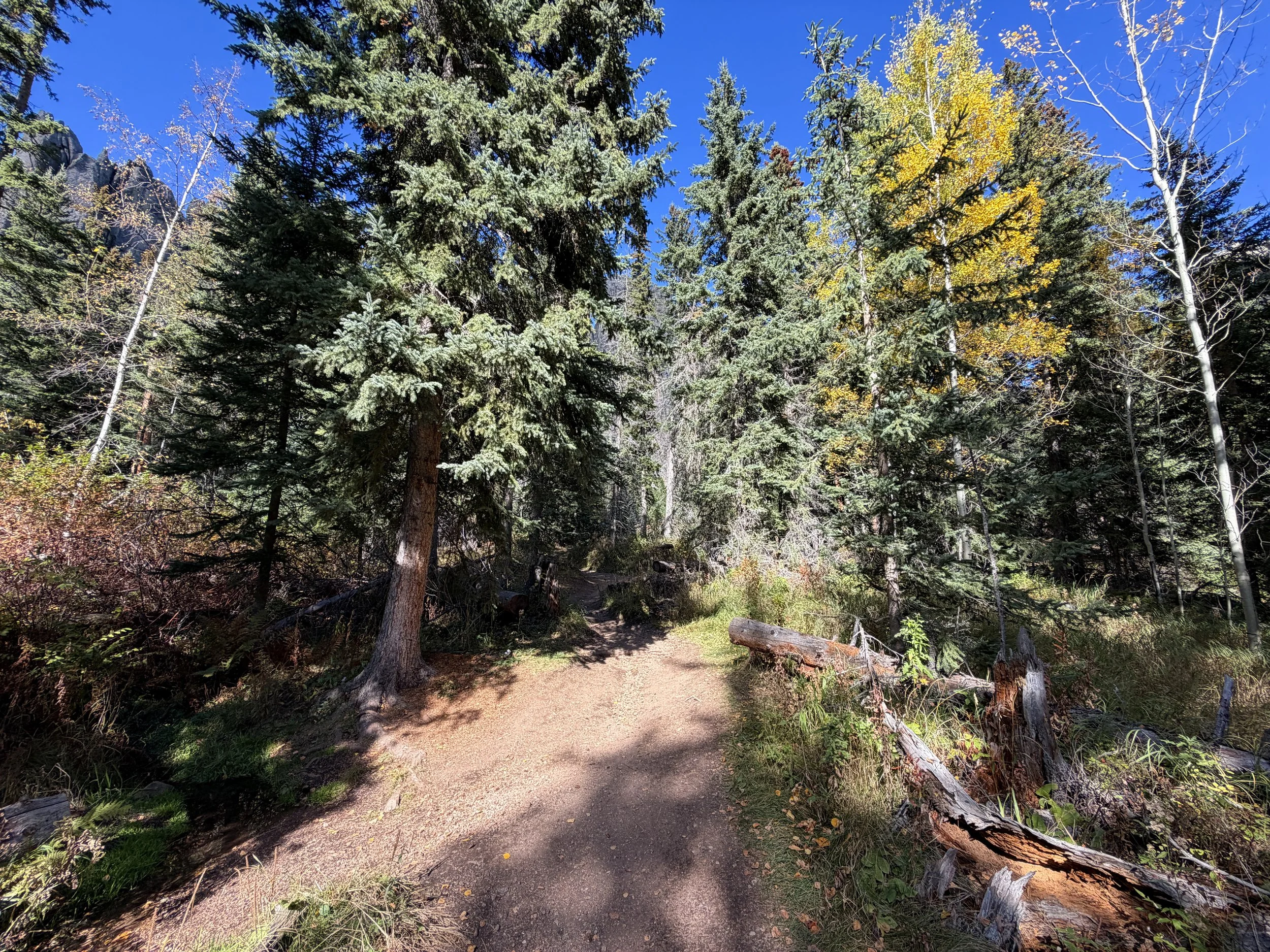 Cathedral Spires Hike Custer State Park Black Hills South Dakota