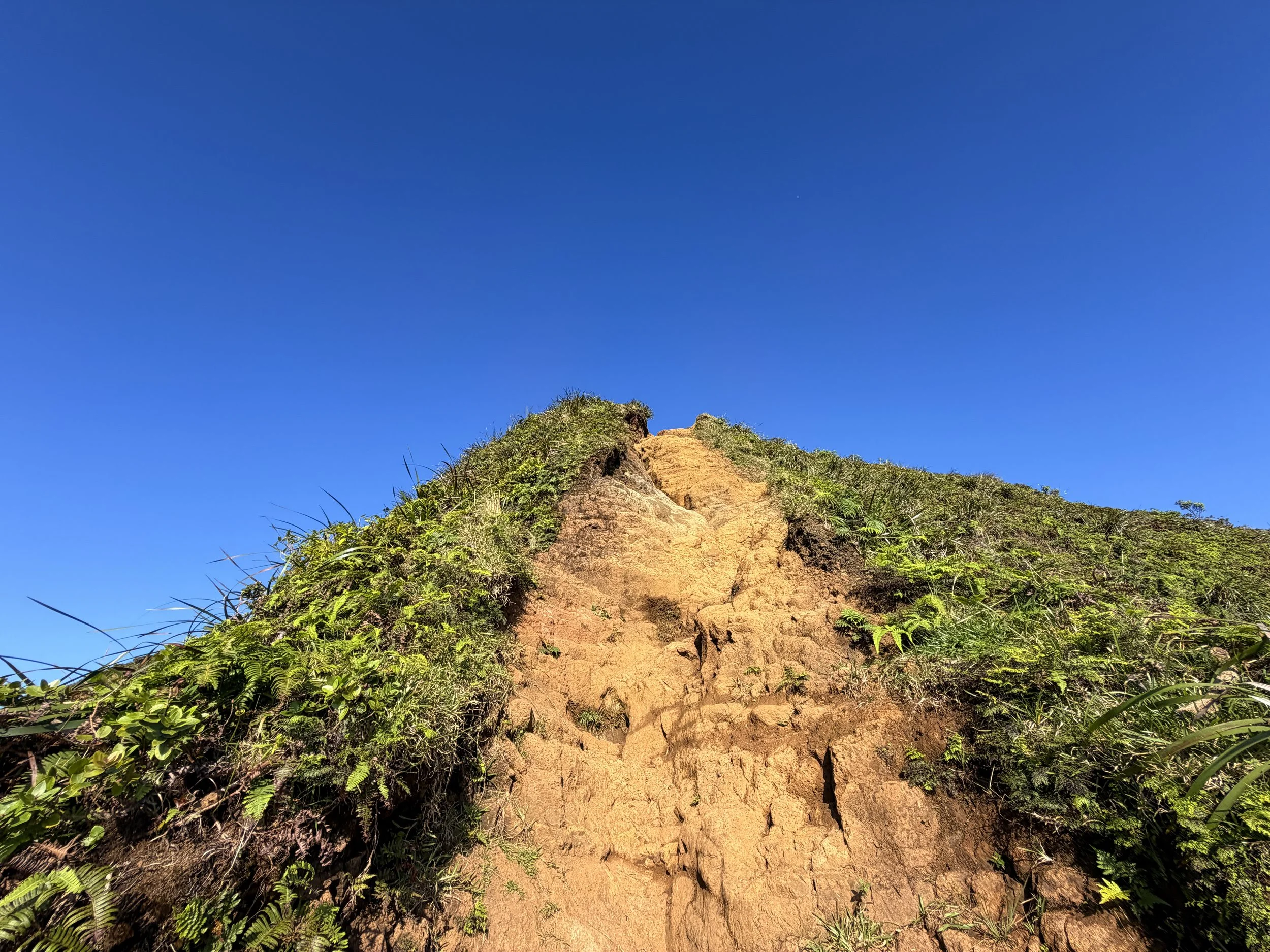 Moanalua Middle Ridge Trail Stairway to Heaven Ropes Oahu Hawaii