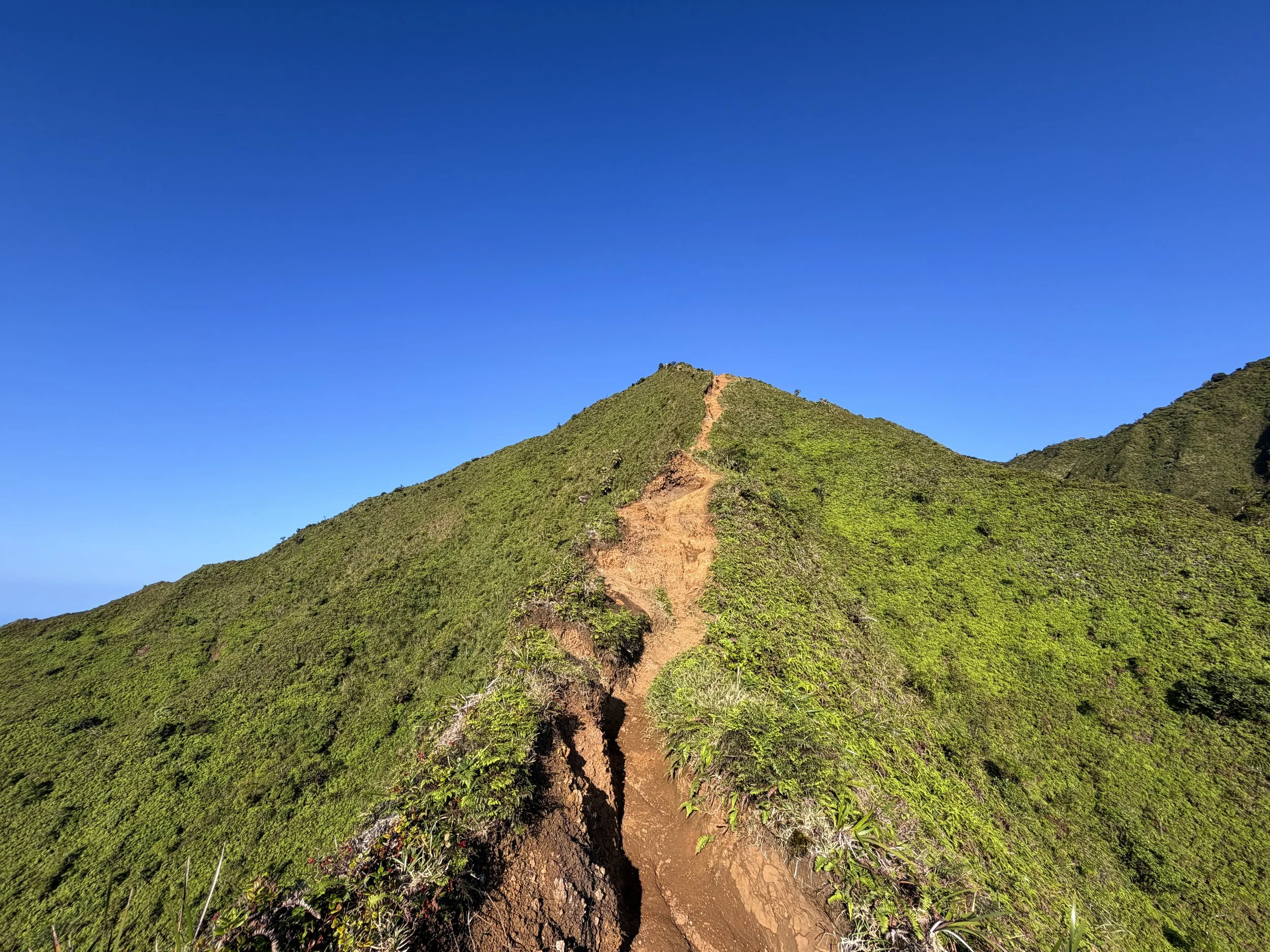 Moanalua Middle Ridge Trail Back Way to Stairway to Heaven Oahu Hawaii
