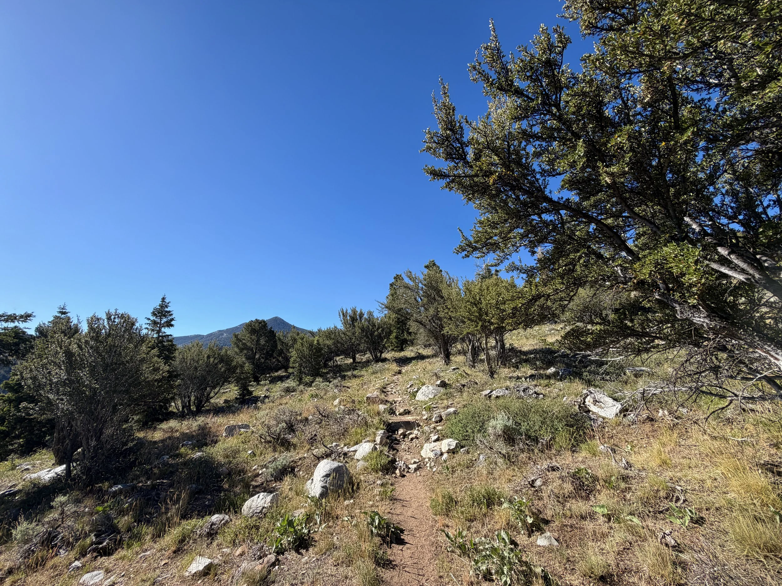 Baker Lake Hike Great Basin National Park Nevada