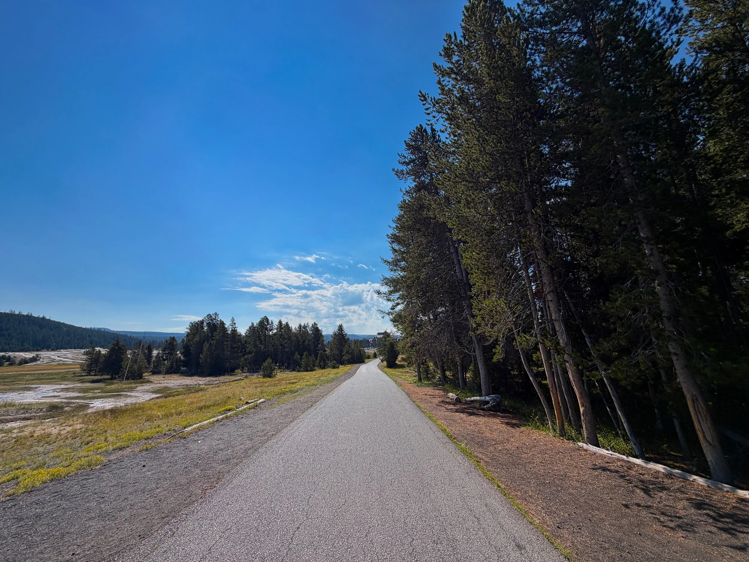 Upper Geyser Basin Trail Yellowstone National Park Wyoming
