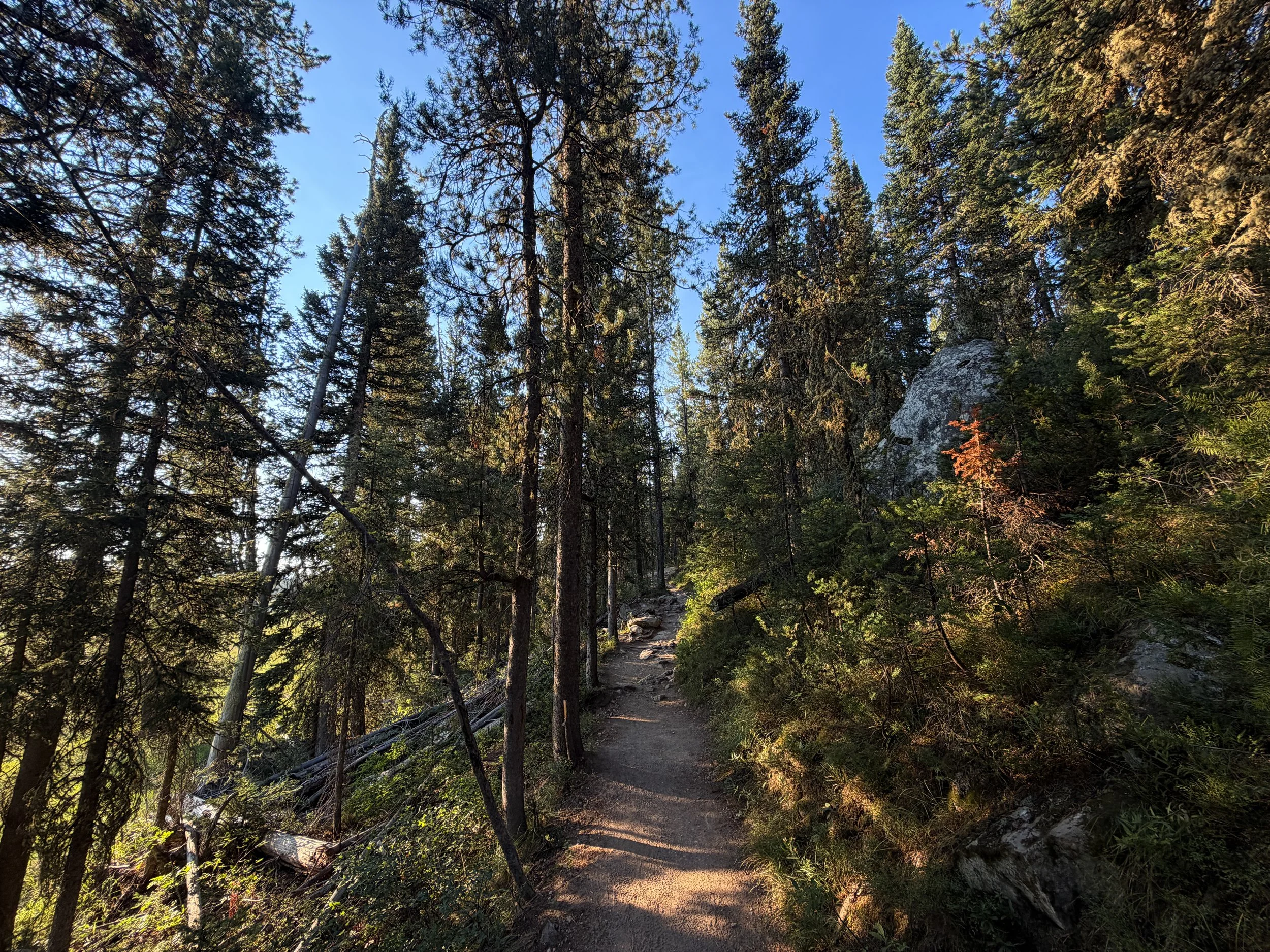 Delta Lake Trail Grand Teton National Park Wyoming