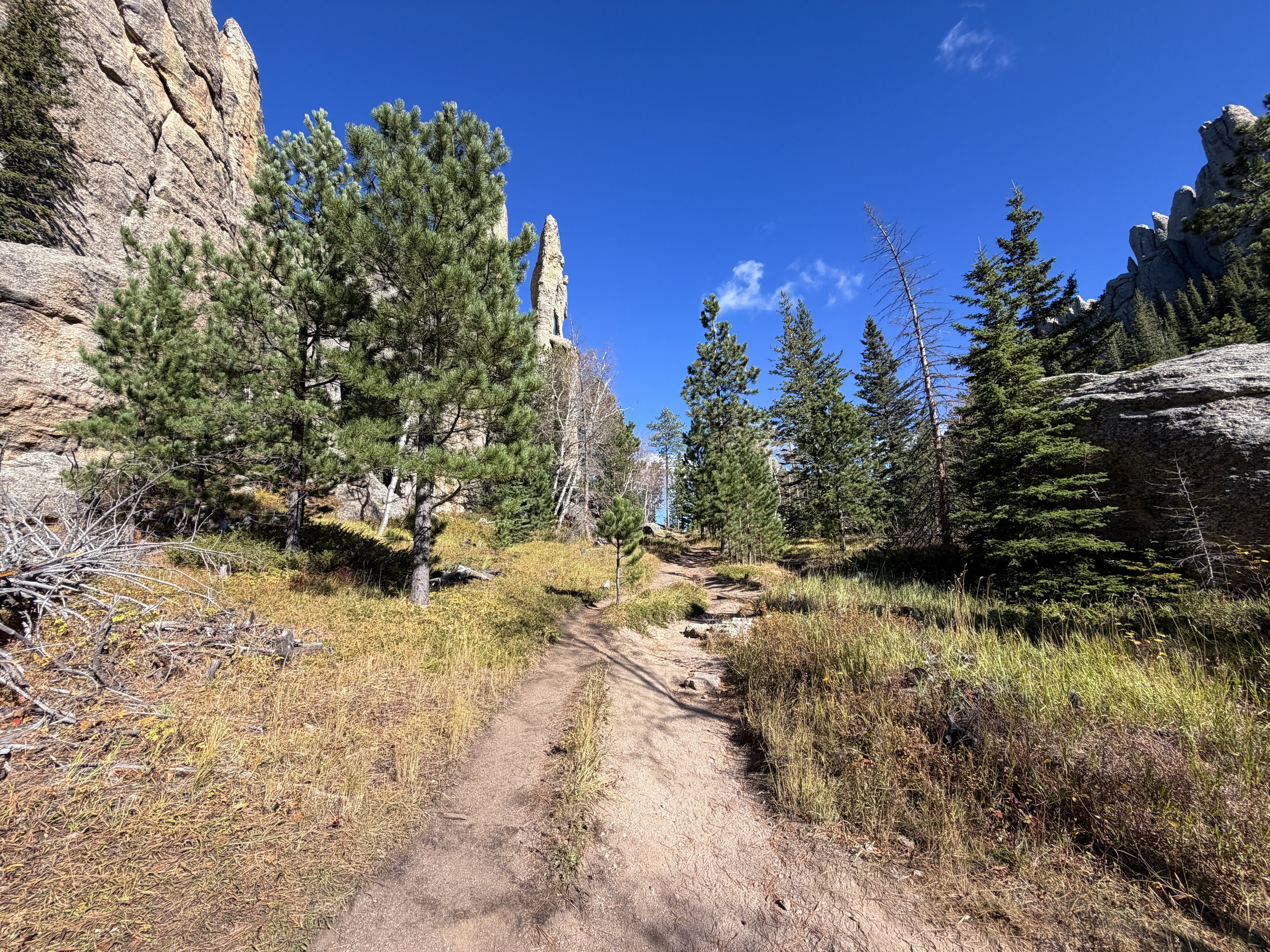 Cathedral Spires Trail Custer State Park Black Hills South Dakota
