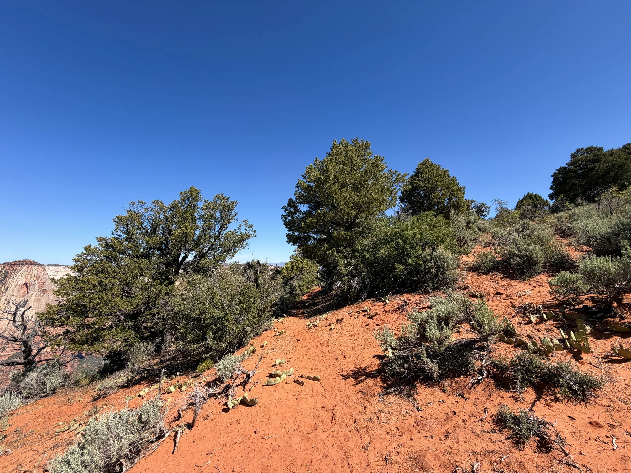 Deertrap Mountain Trail Zion National Park Utah