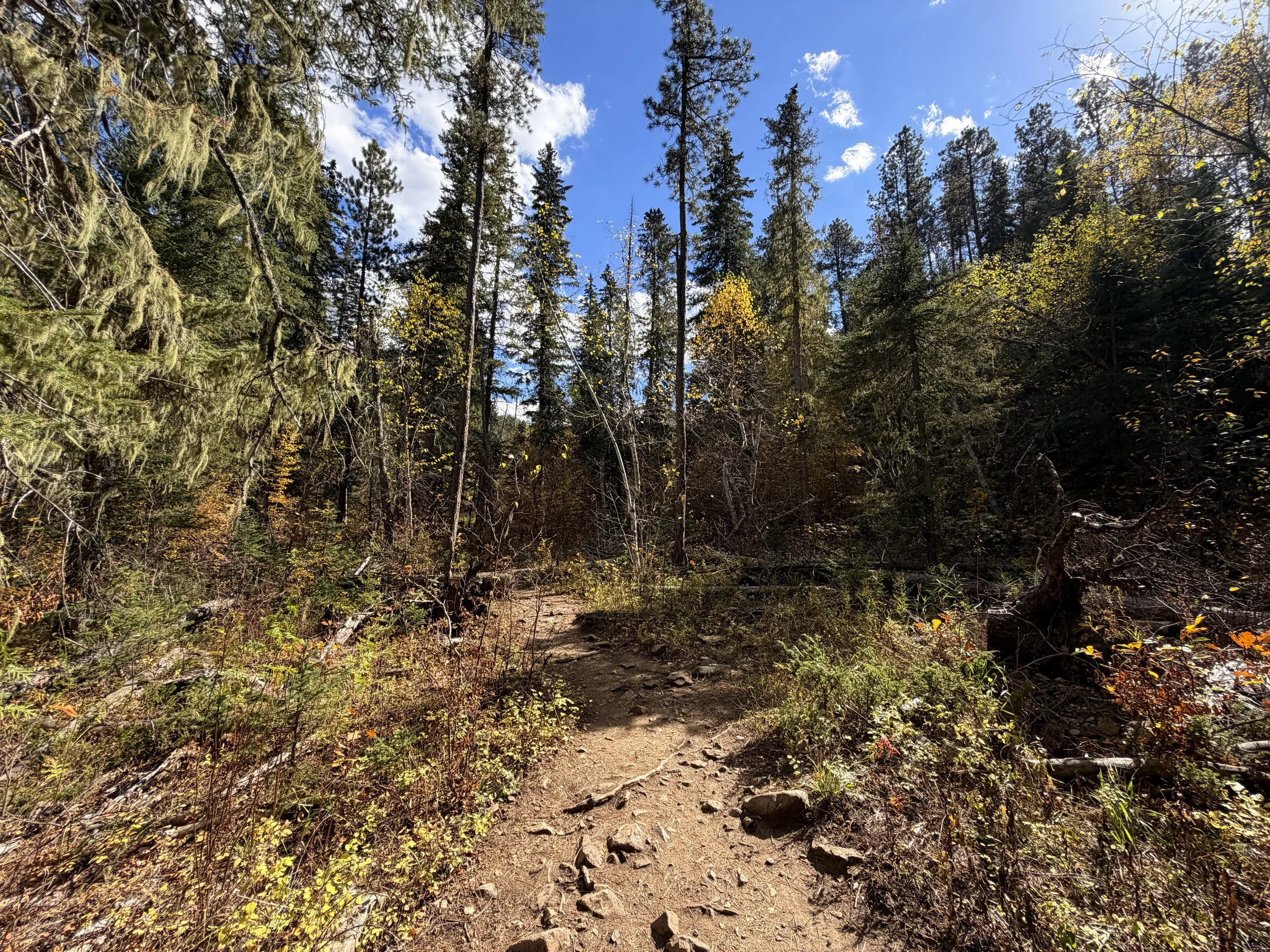 Devils Bathtub Hike Spearfish Canyon Black Hills South Dakota