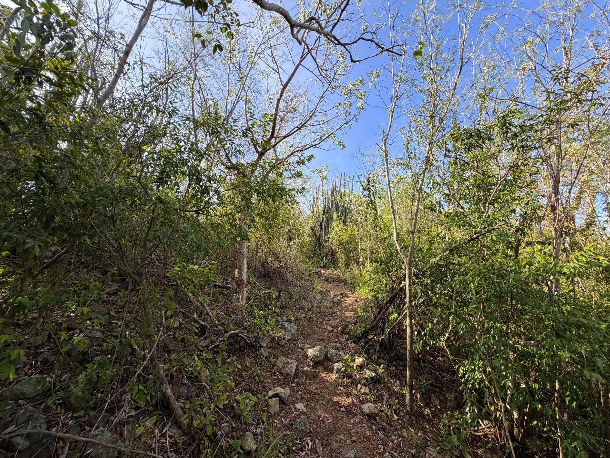 Tektite Trail Virgin Islands National Park