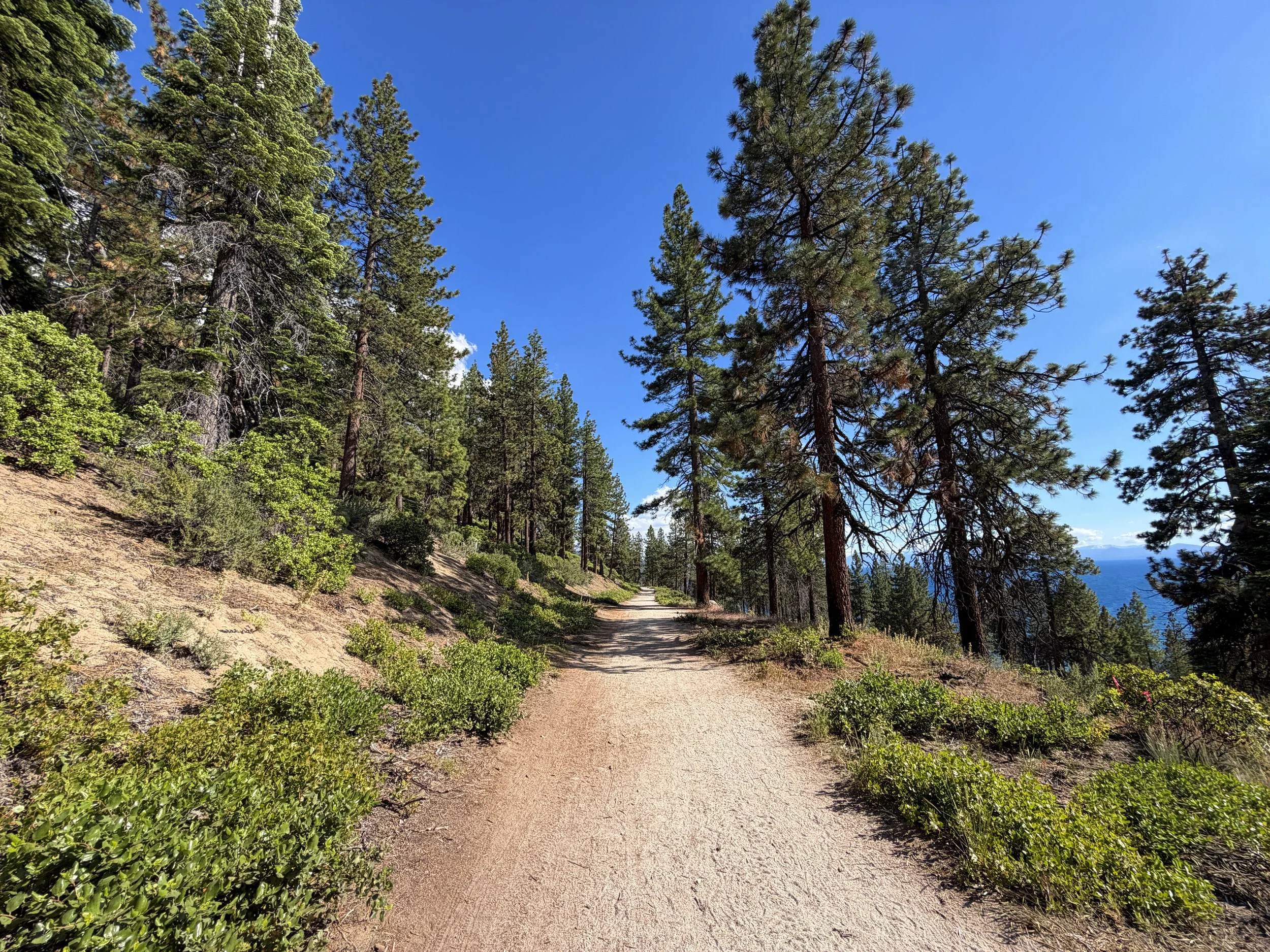 Monkey Rock Trail Lake Tahoe Nevada