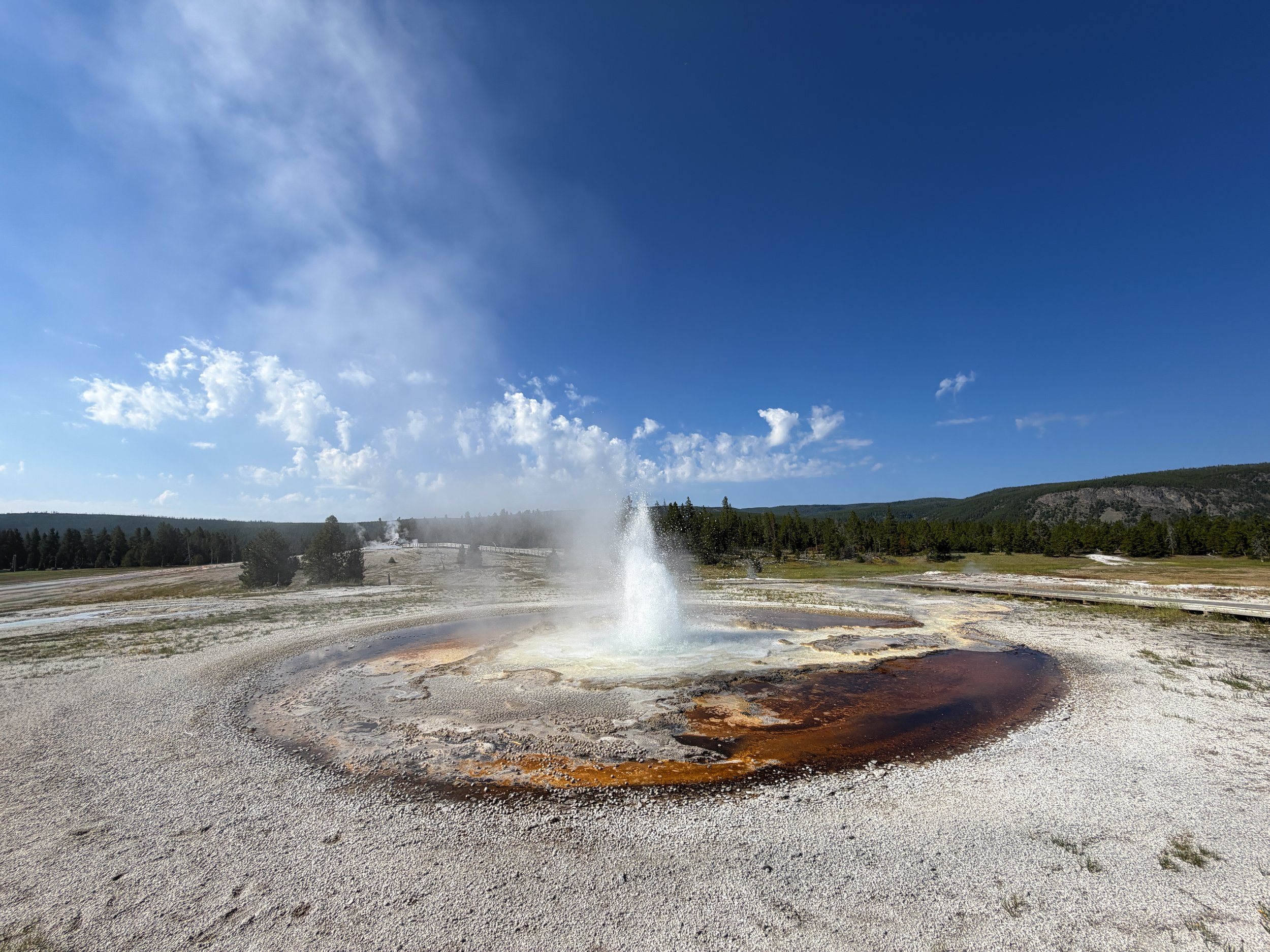 Sawmill Geyser Yellowstone National Park Wyoming