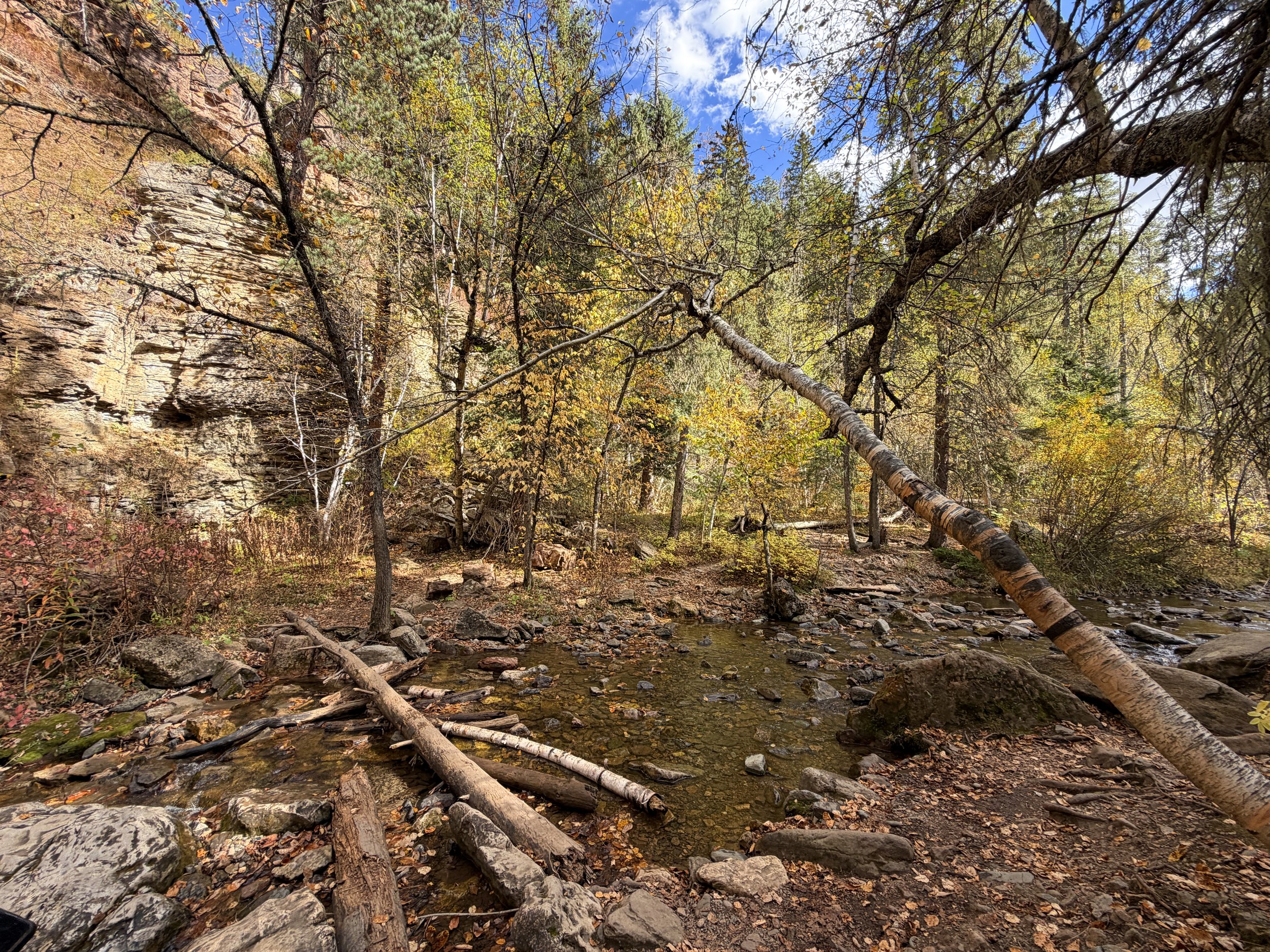 Devils Bathtub Trail Spearfish Canyon Black Hills South Dakota
