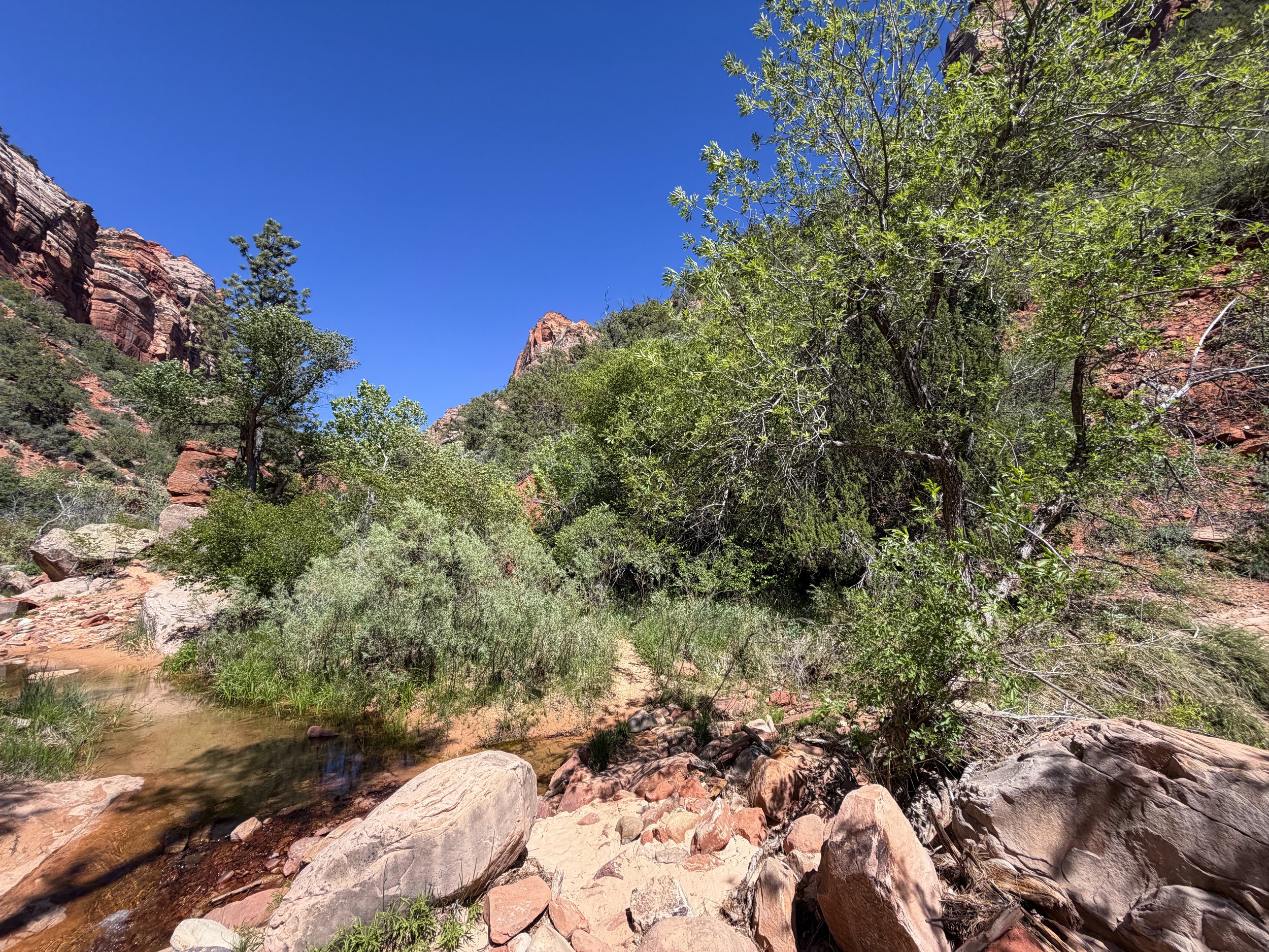 Subway Trail Left Fork North Creek Zion National Park Utah