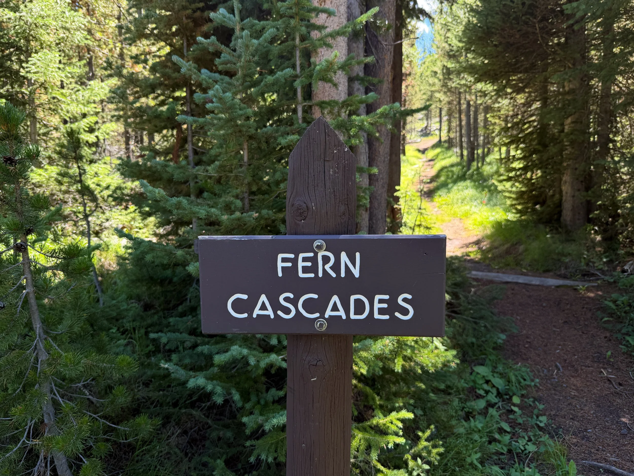 Fern Cascades Loop Trailhead Yellowstone National Park Wyoming