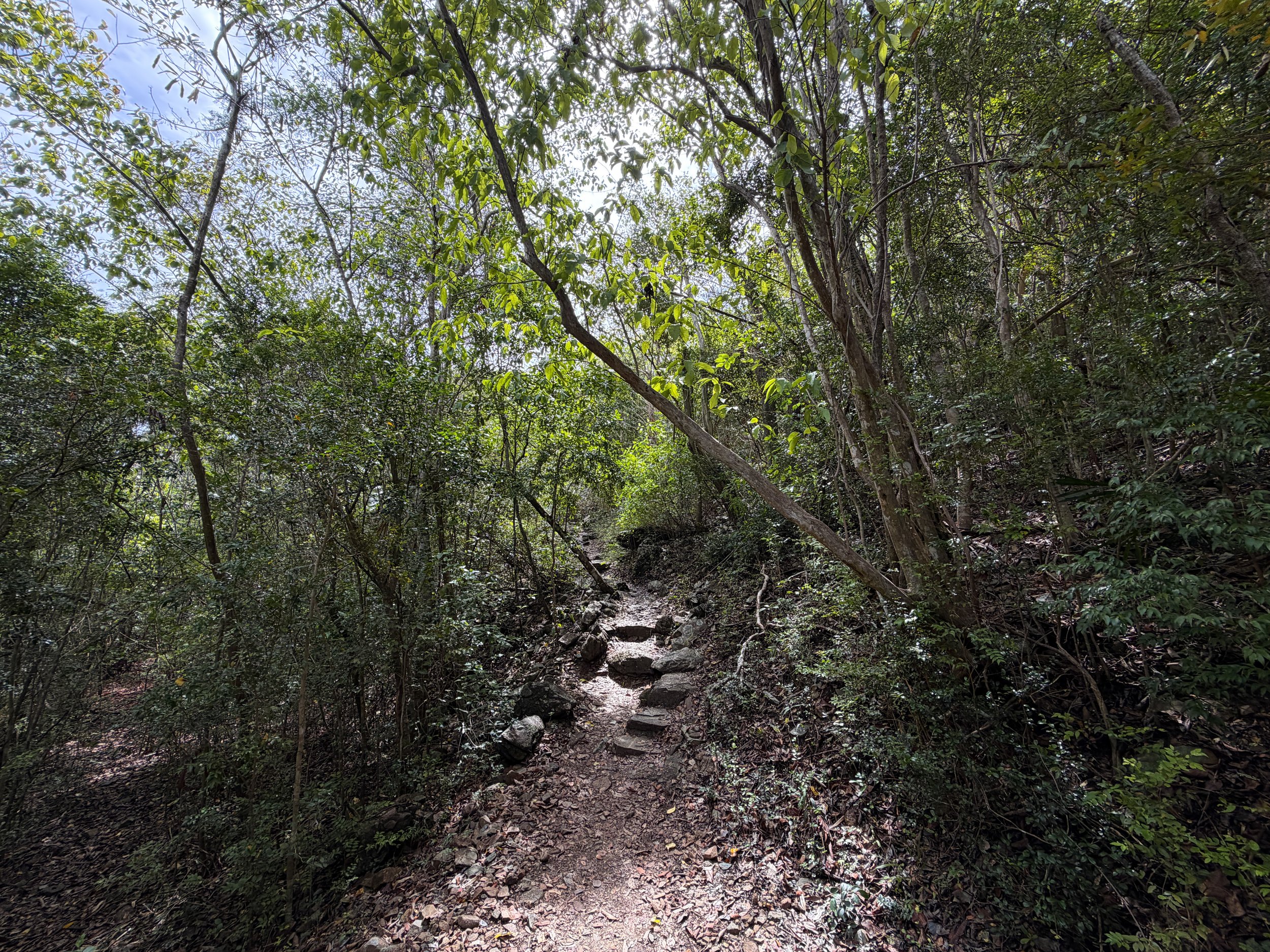 Upper Lind Point Trail Virgin Islands National Park