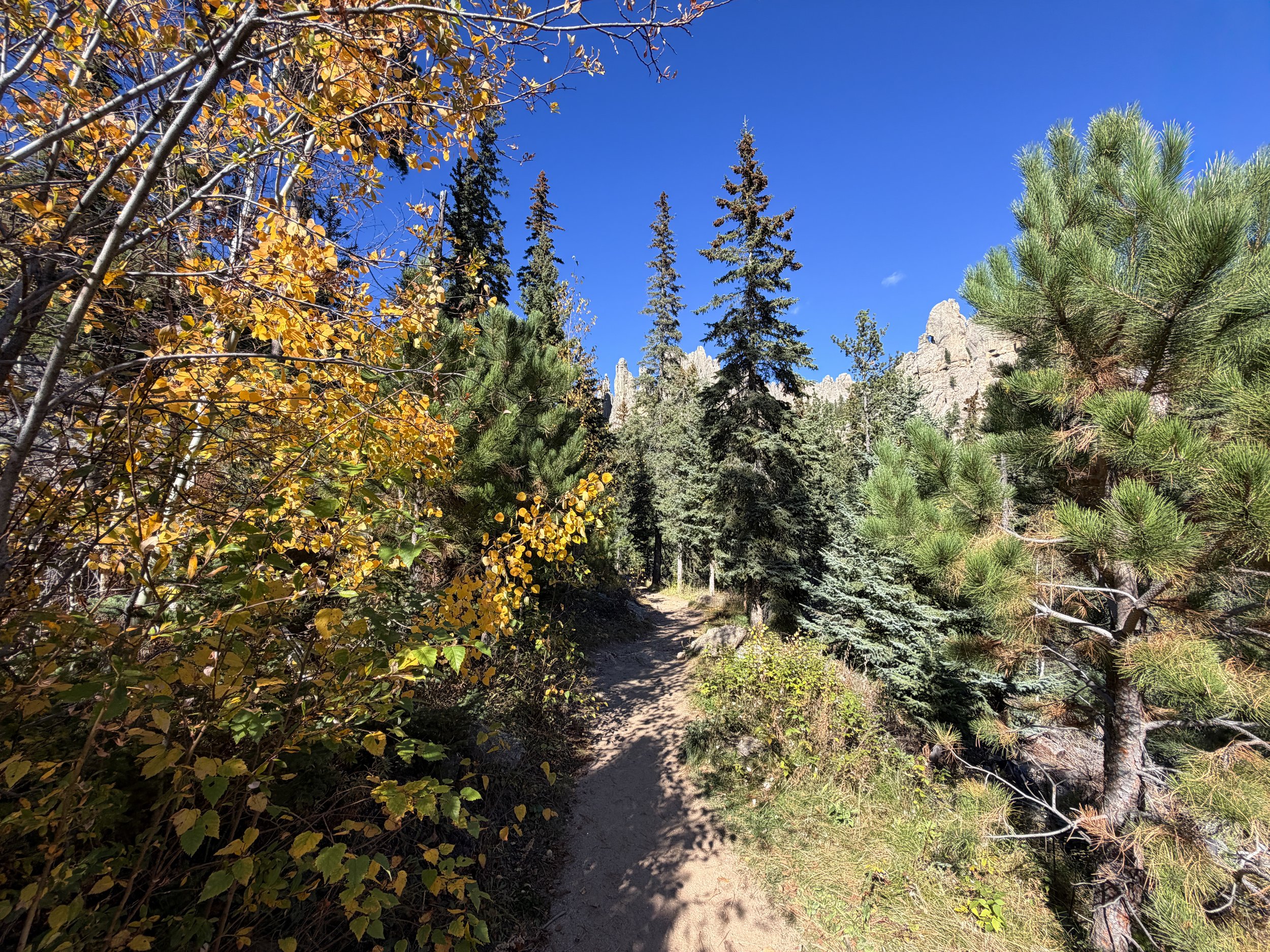 Cathedral Spires Trail Custer State Park Black Hills South Dakota