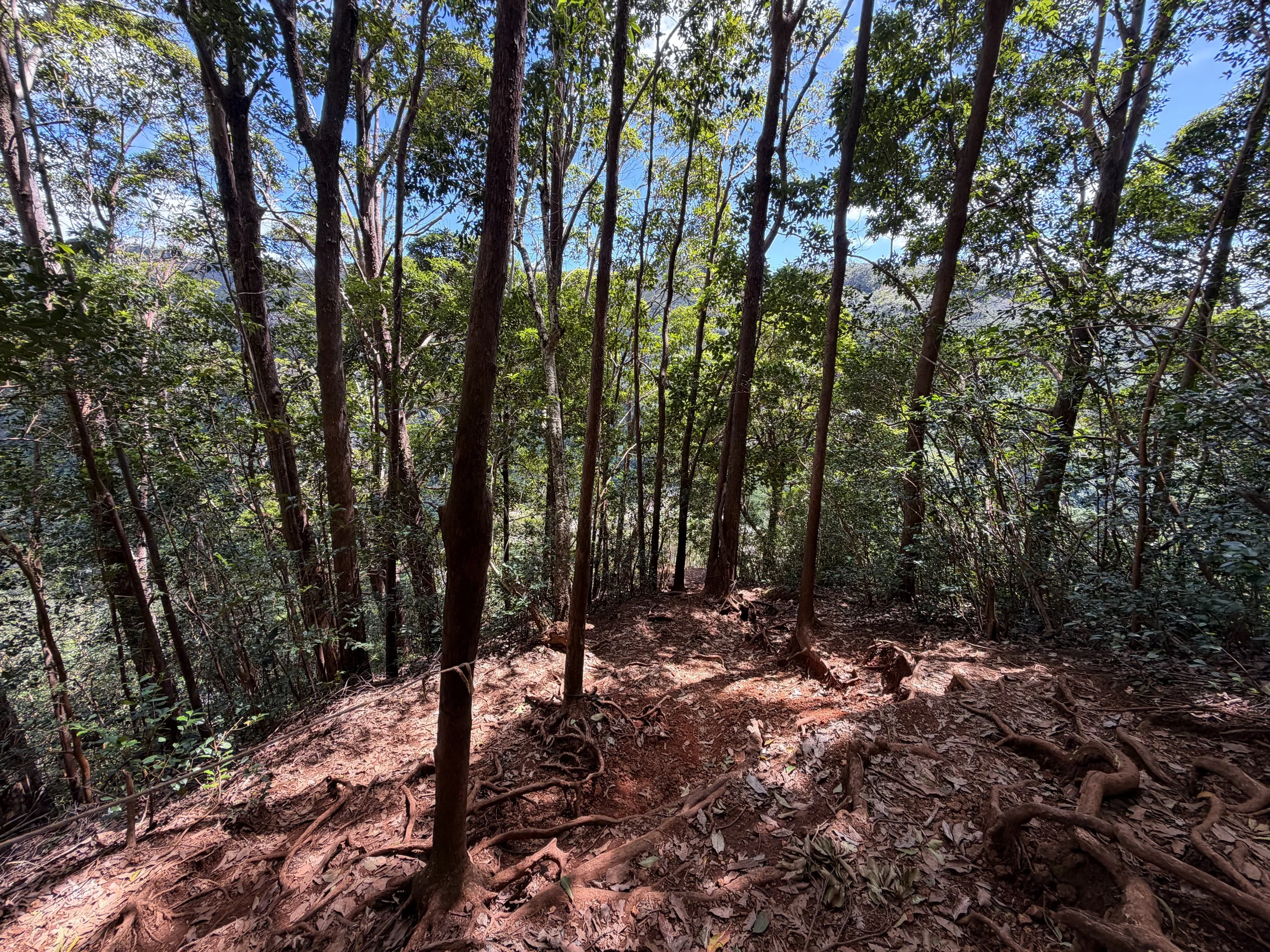 Waimano Falls Hike Oahu Hawaii