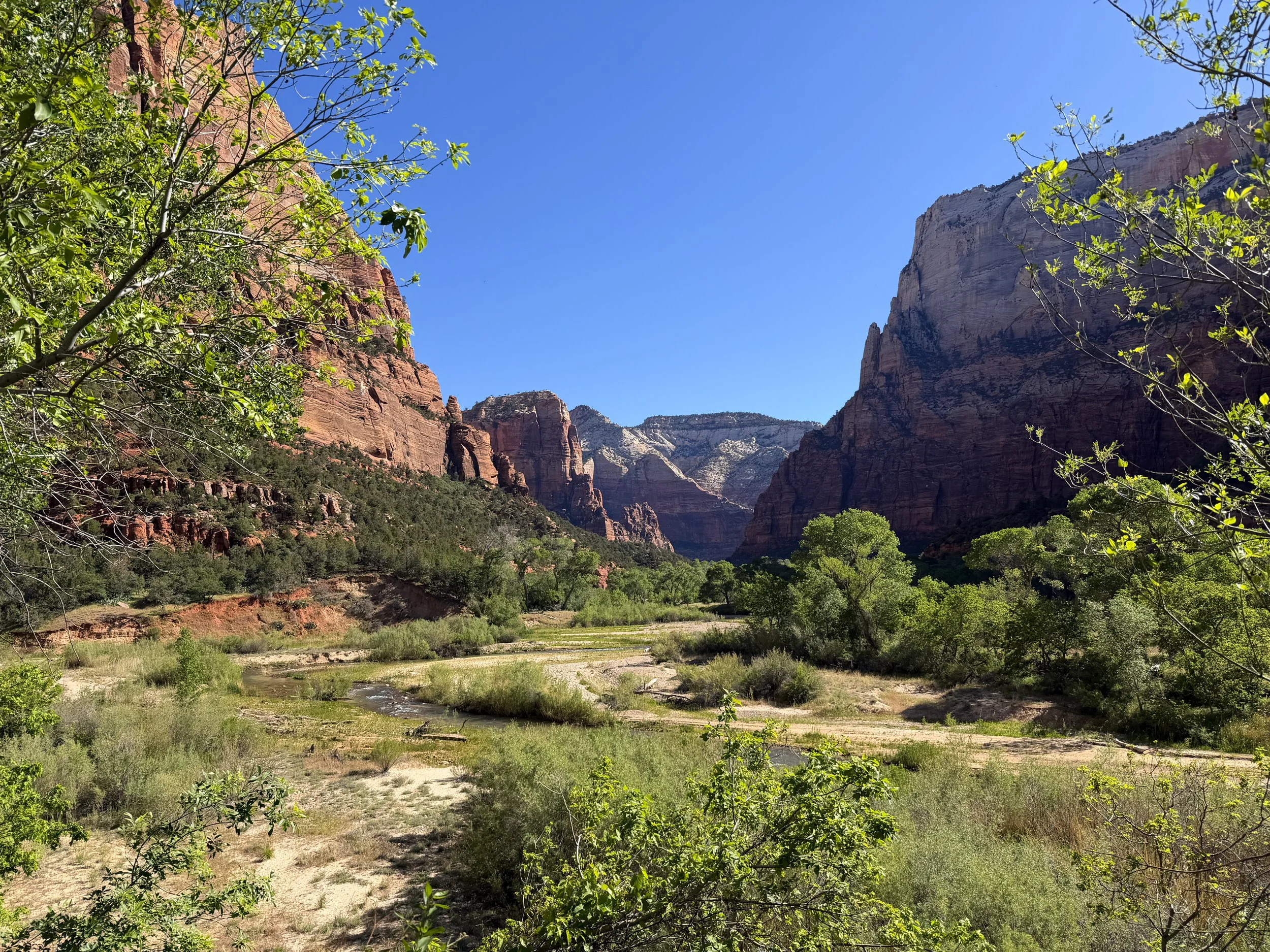 Lower Emerald Pools Trail Zion National Park Utah