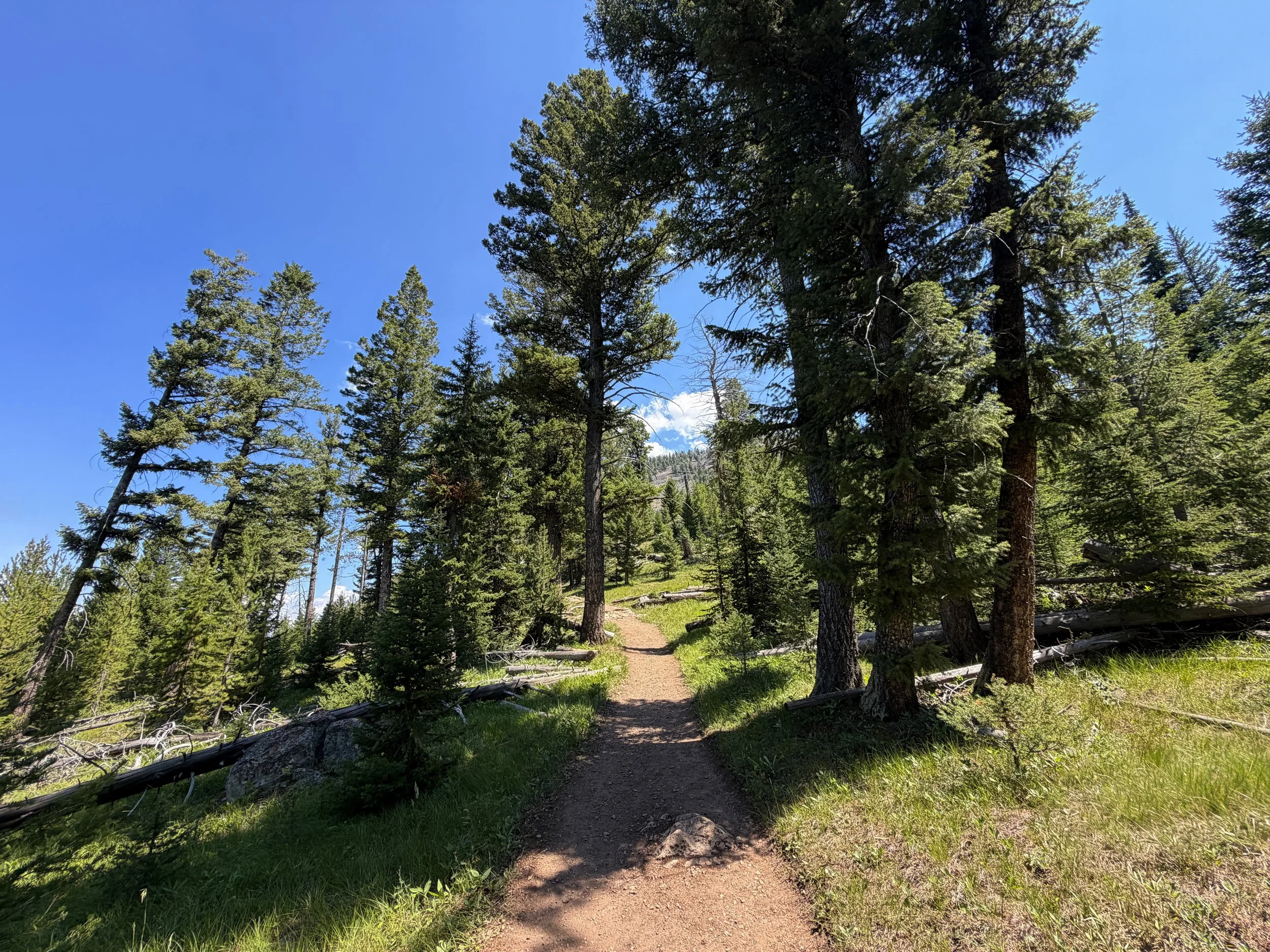Bunsen Peak Trail Yellowstone National Park Wyoming