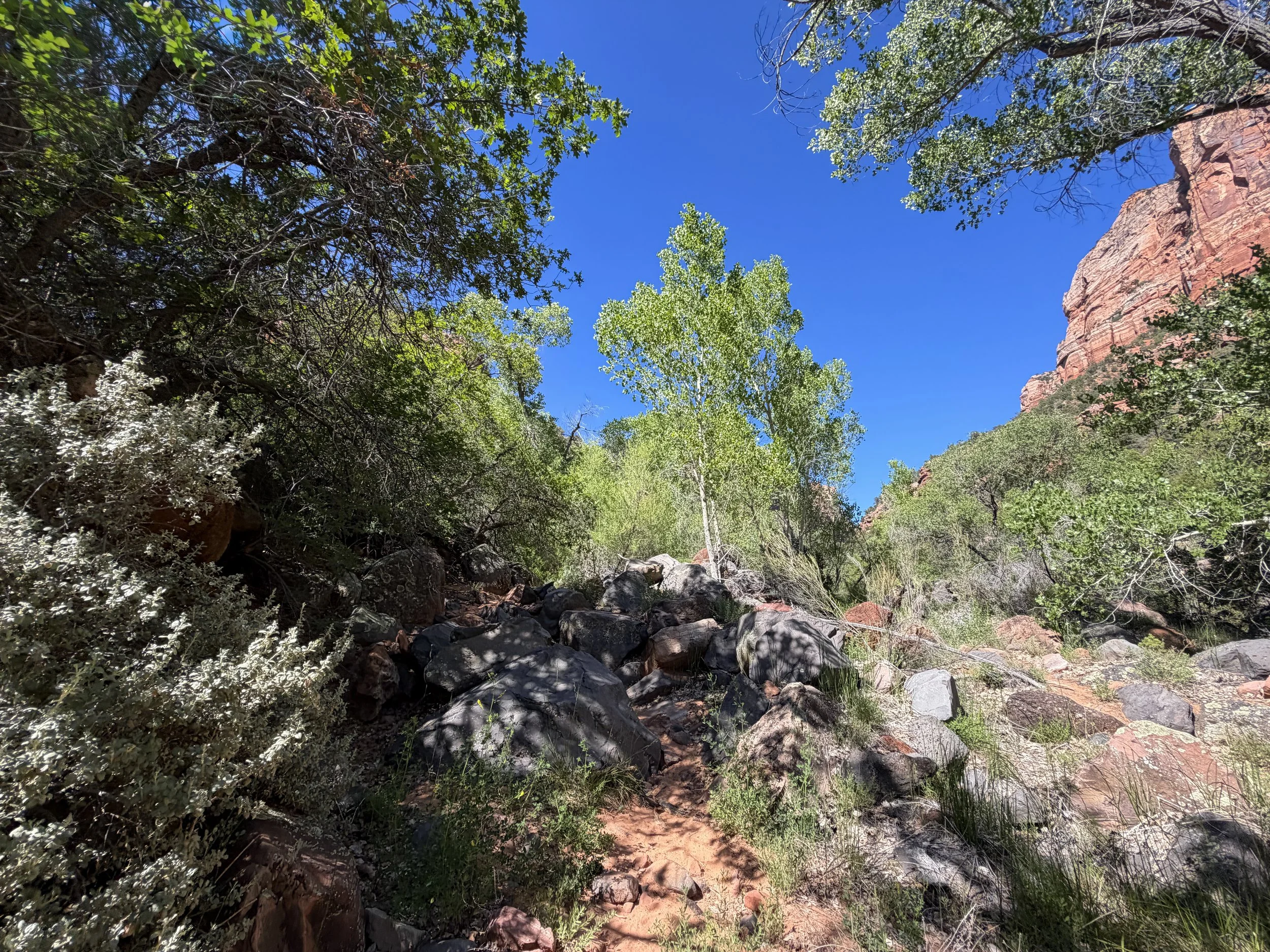 Subway Hike Bottom–Up Route Zion National Park Utah