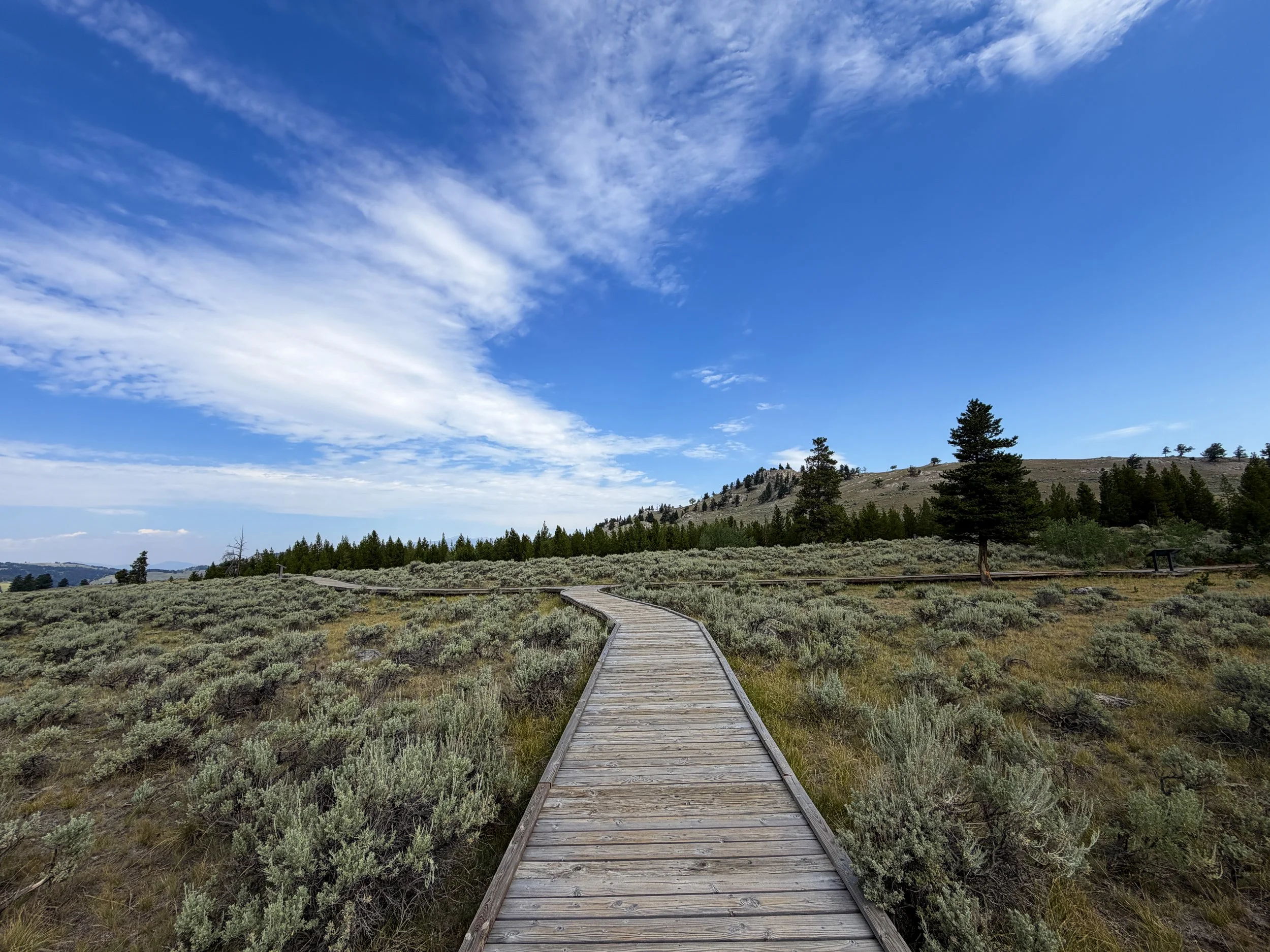 Forces of the Northern Range Trail Yellowstone National Park Wyoming