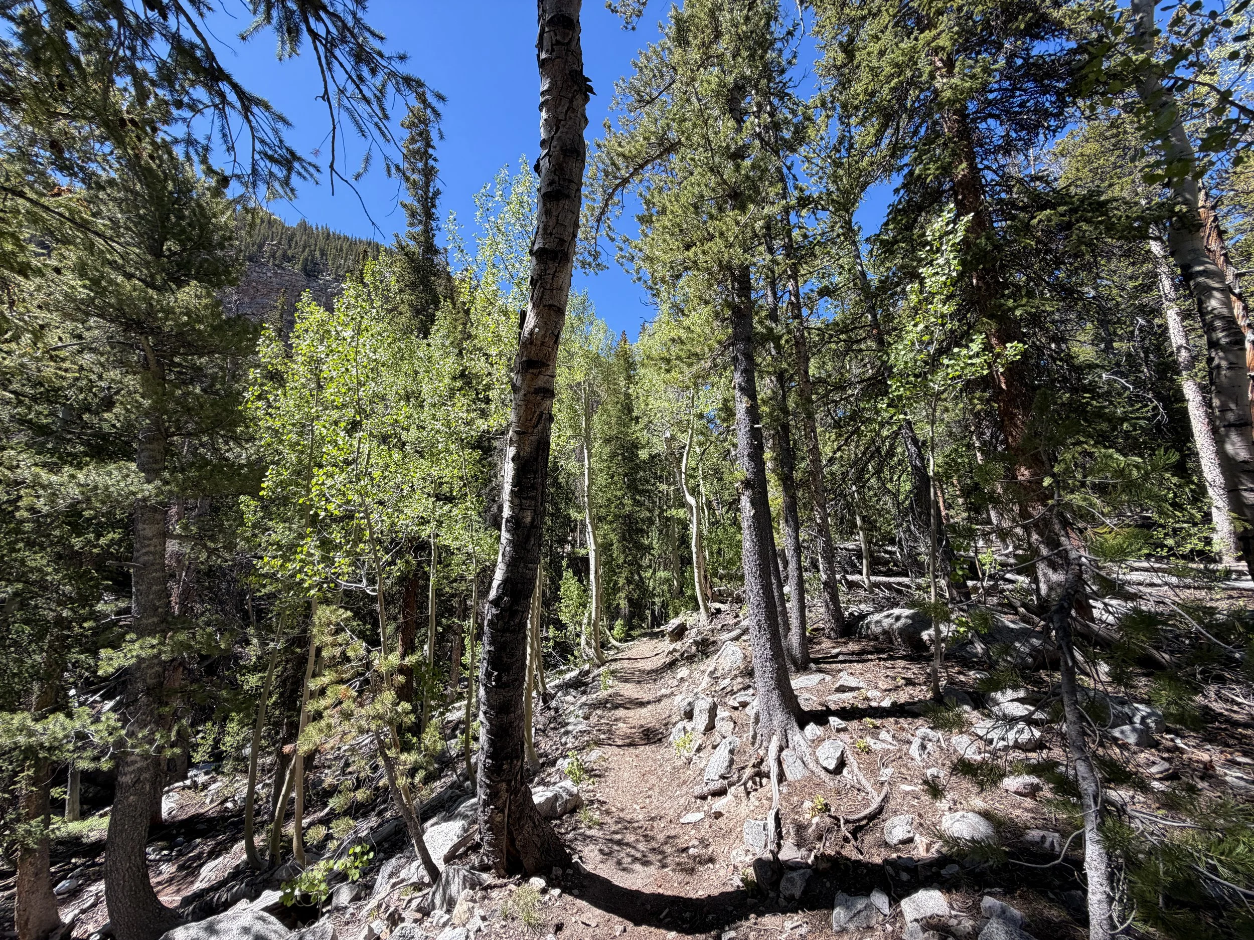 Baker Lake Trail Great Basin National Park Nevada