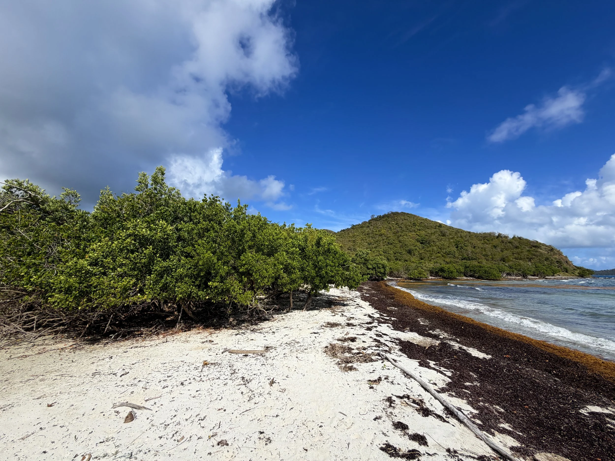 Brown Bay Beach Virgin Islands National Park