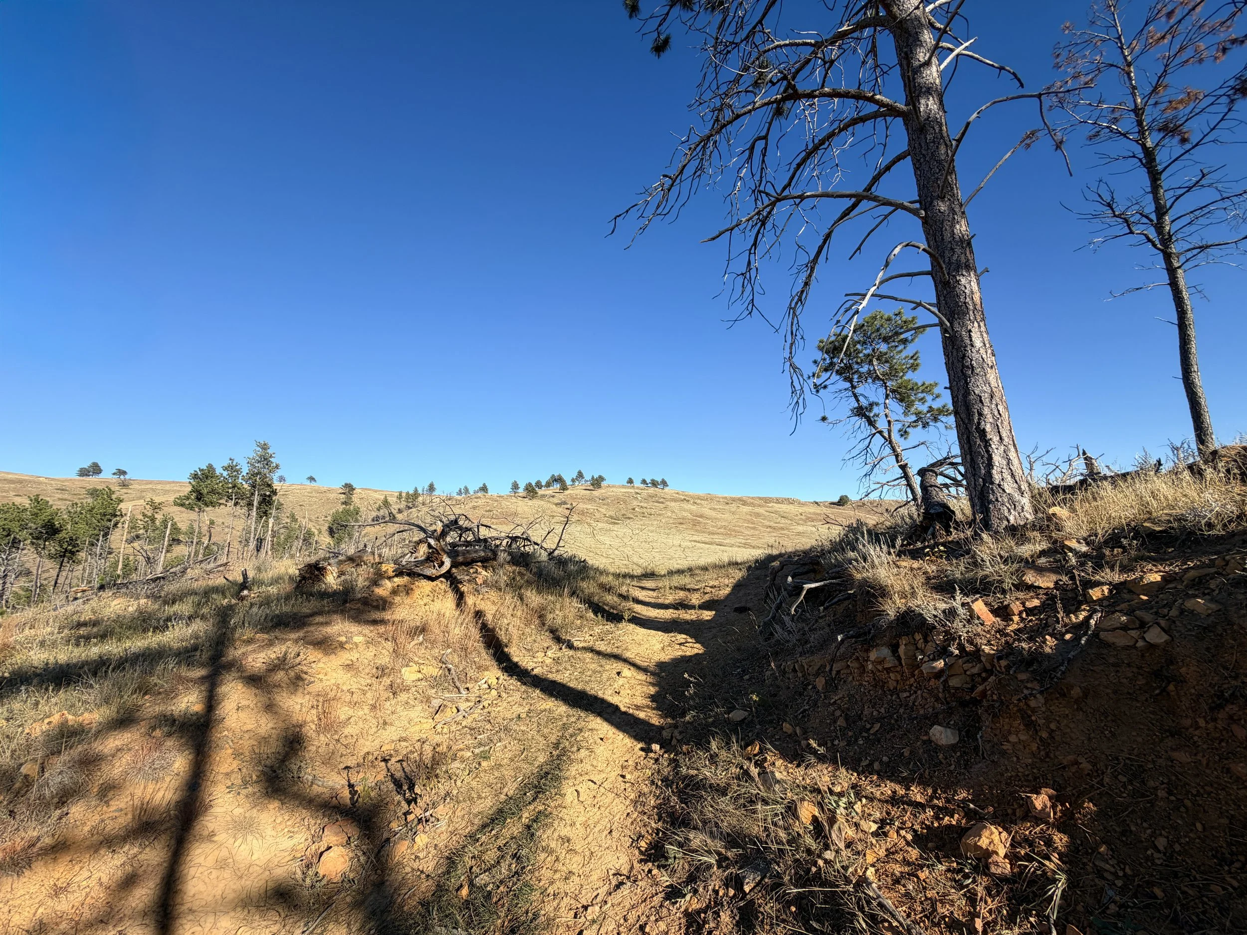 Boland Ridge Hike Wind Cave National Park South Dakota