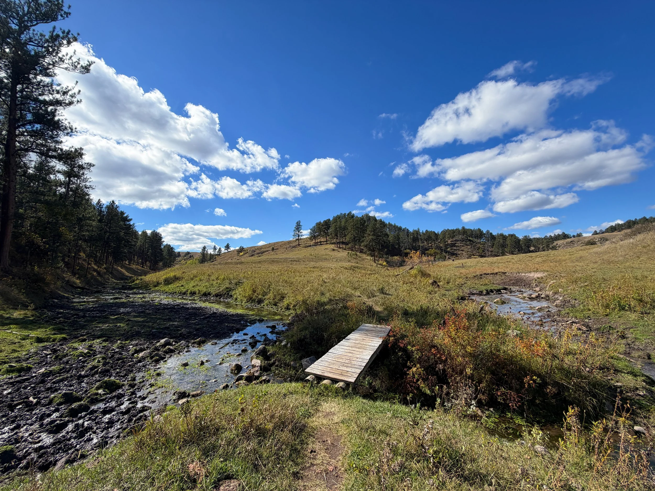 Lookout Point Loop Trail Wind Cave National Park South Dakota