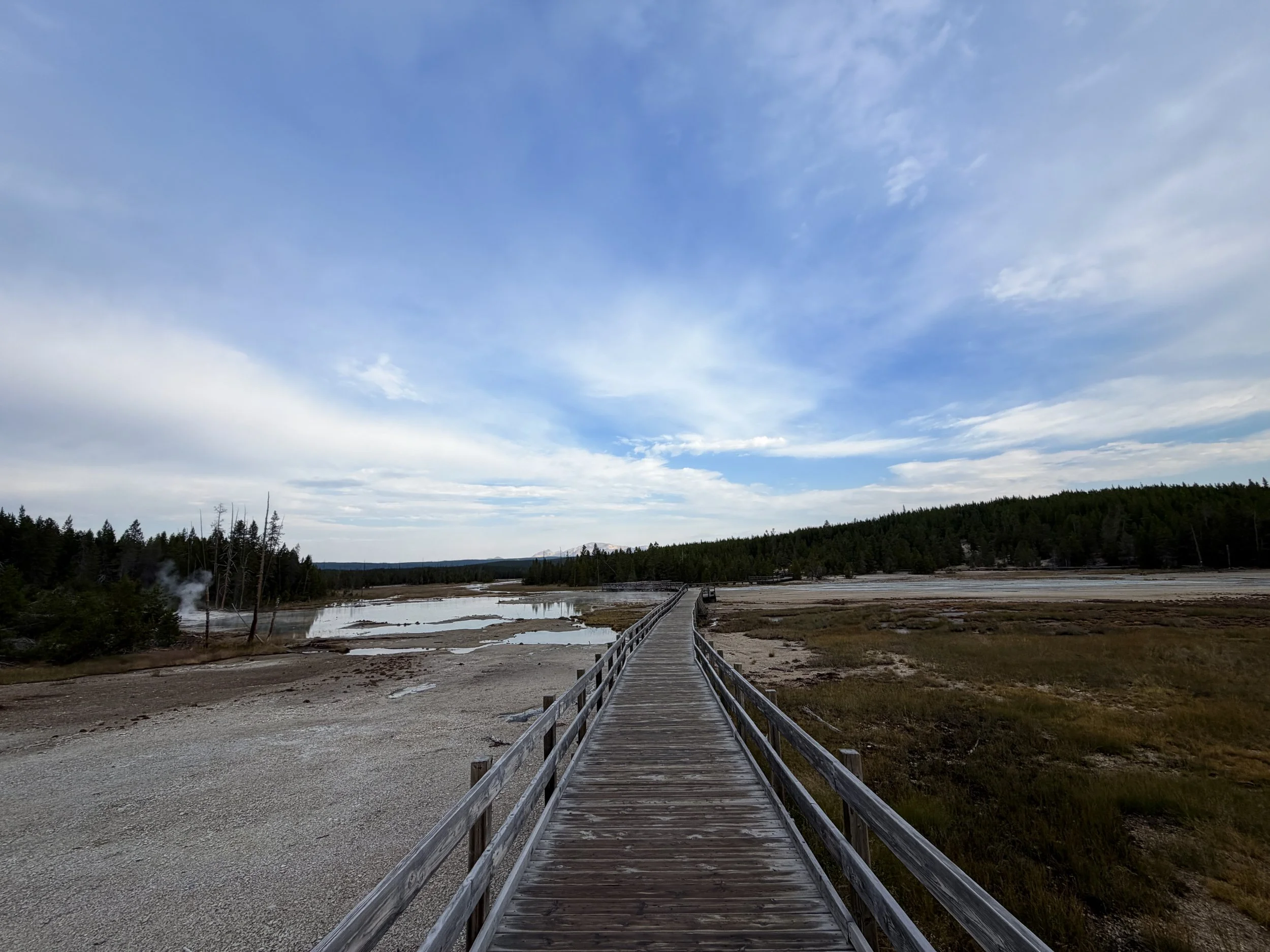 Porcelain Basin Norris Geyser Basin Trail Yellowstone National Park Wyoming