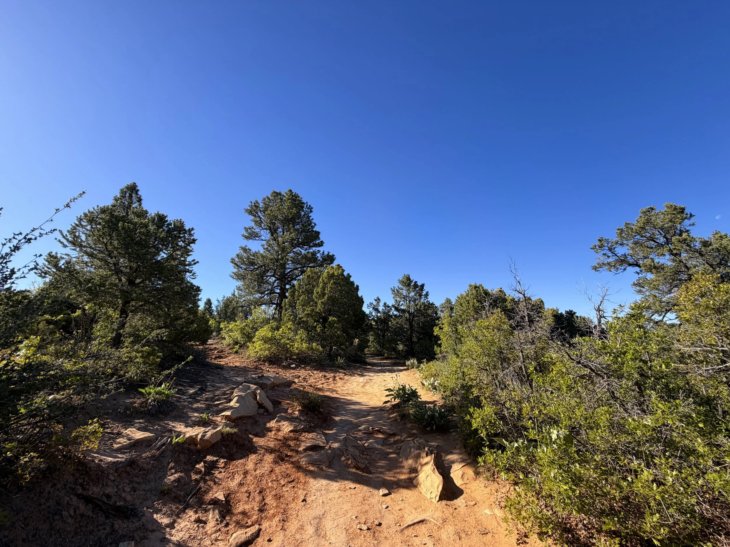 East Mesa Trail to Observation Point Zion National Park Utah