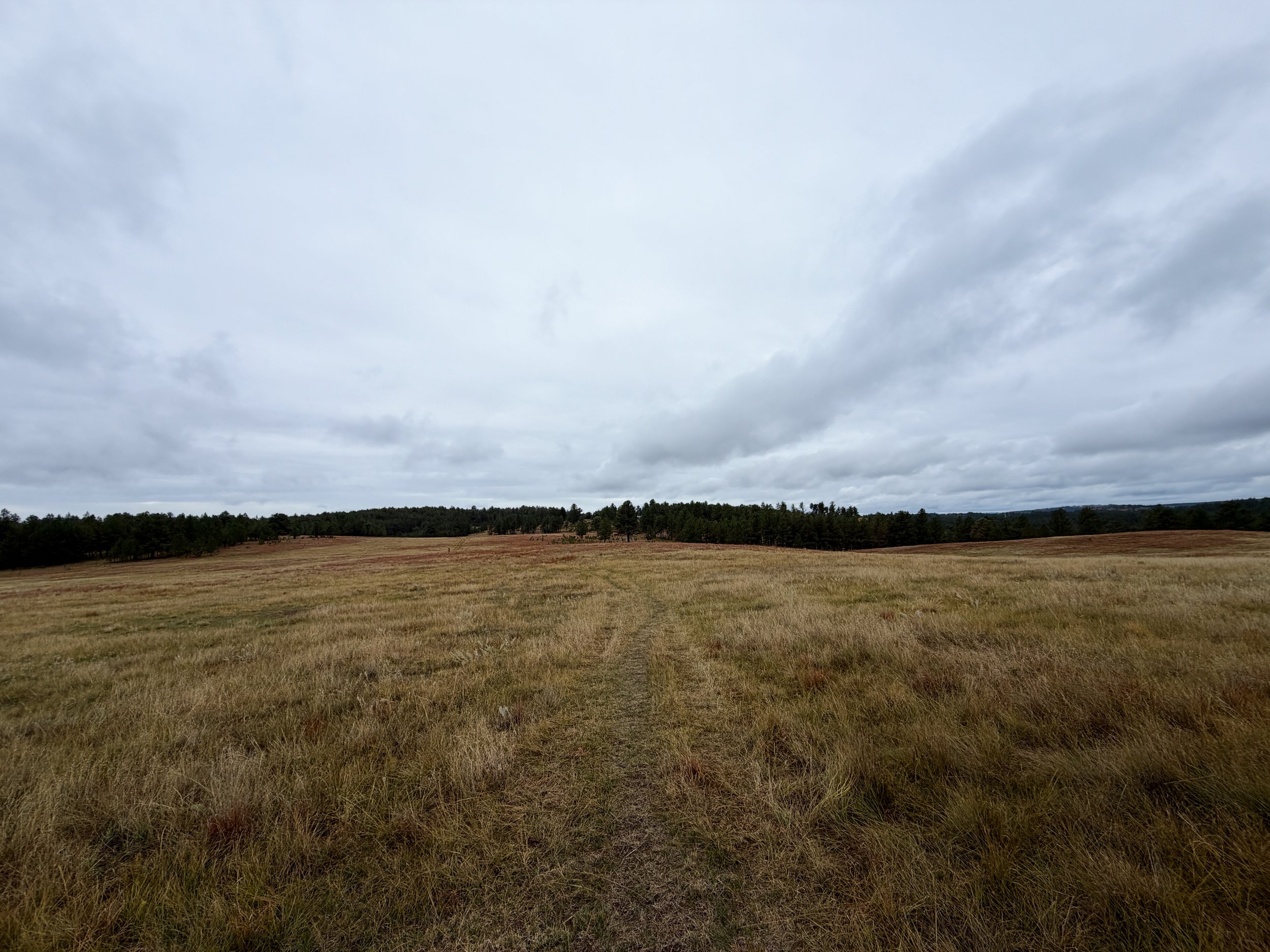 Highland Creek Hike Wind Cave National Park South Dakota