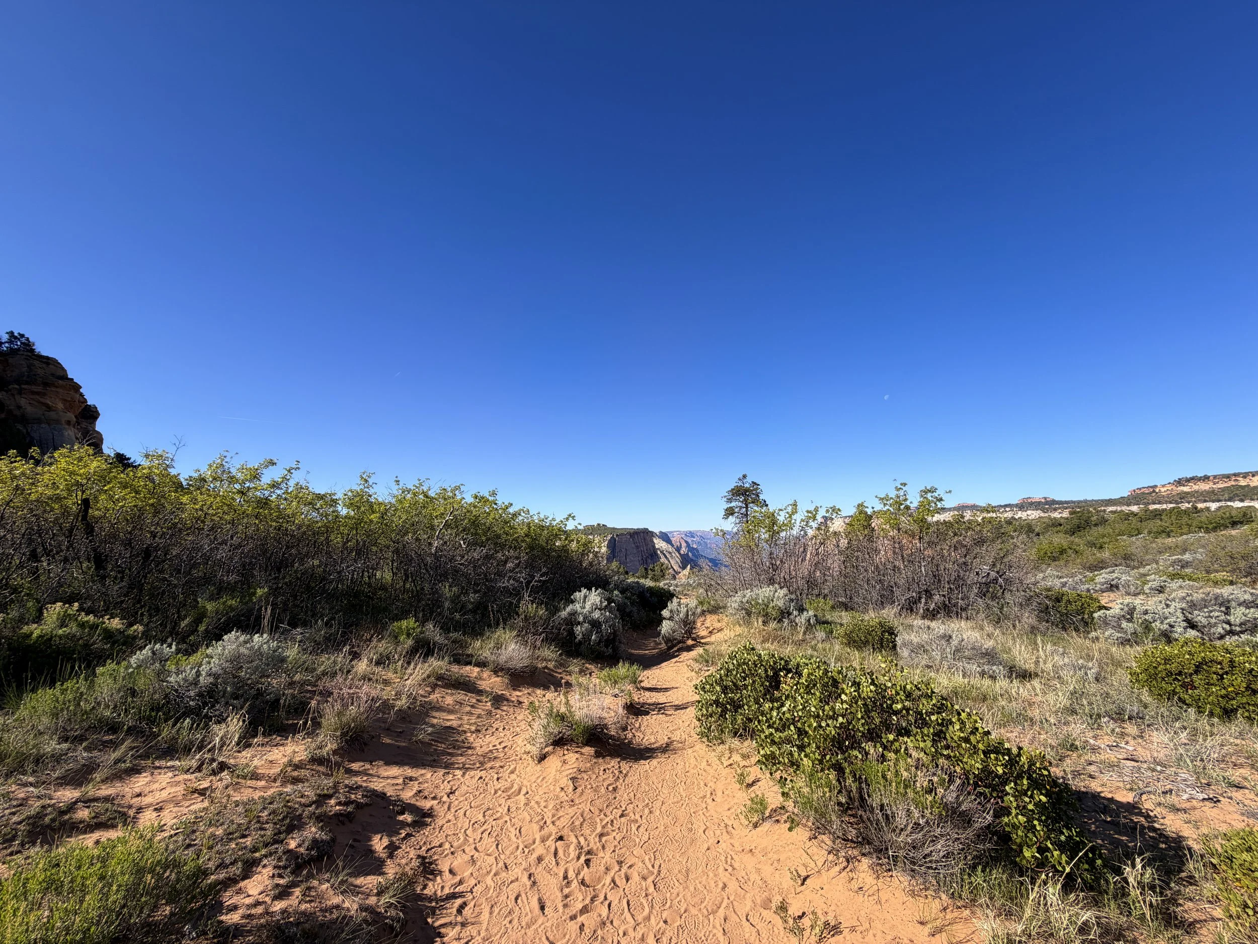 East Mesa Trail to Observation Point Trail Zion National Park Utah